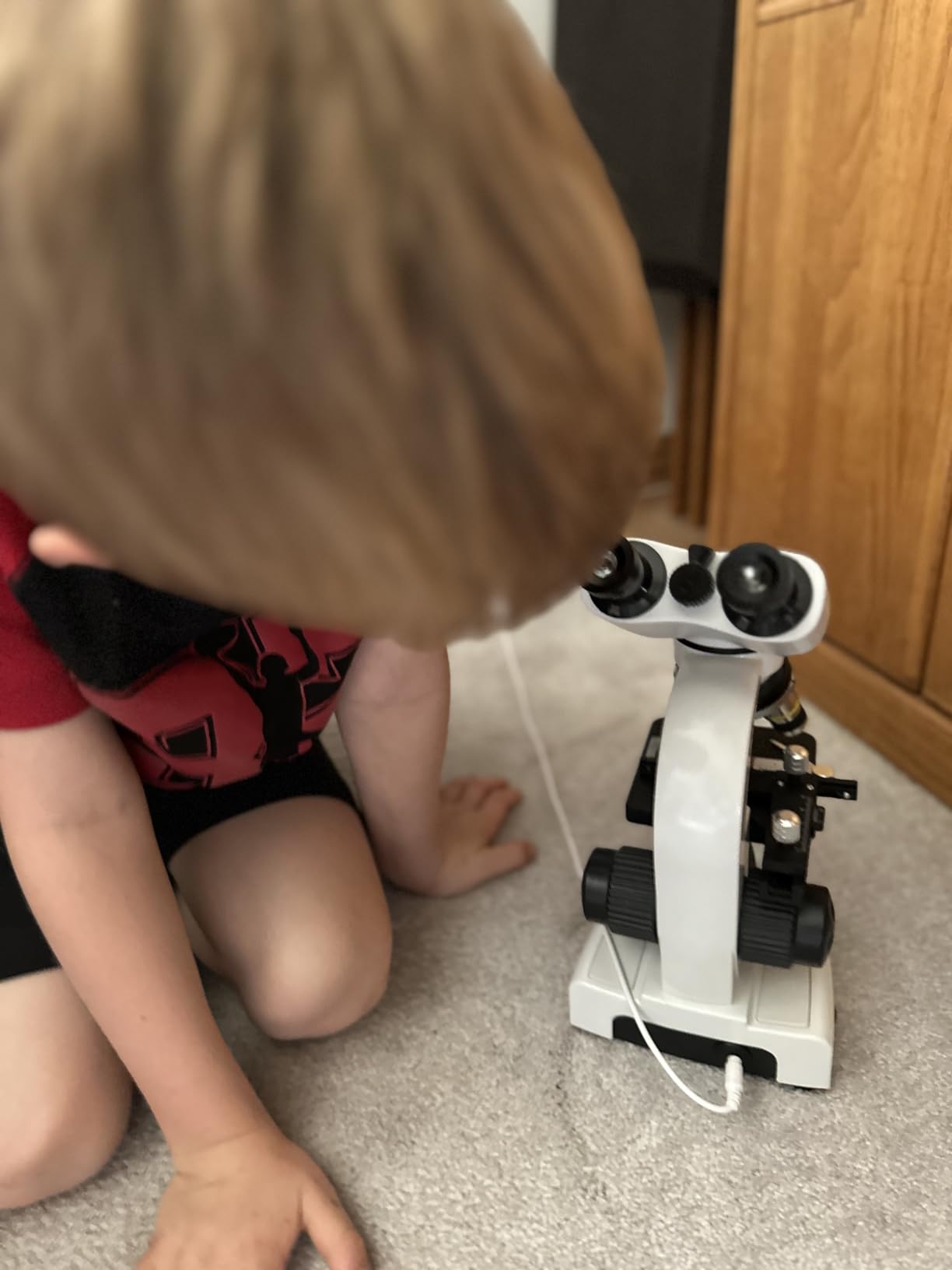 Compound Microscope,40X-2500X ,WF10x and WF25x eyepieces, Dual LED Lighting and Two-Layer Mechanical Stage,Microscope for Adults… customer photo 2
