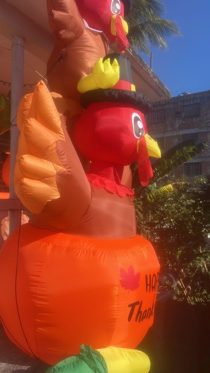 9.8Ft Thanksgiving Inflatable Turkey on Pumpkin Outdoor Decorations, Blow Up Turkey Inflatable Yard Decor with Build-in LEDs Pumpkin for Autumn Thanksgiving Party Indoor Outdoor Yard Garden Lawn customer photo 1
