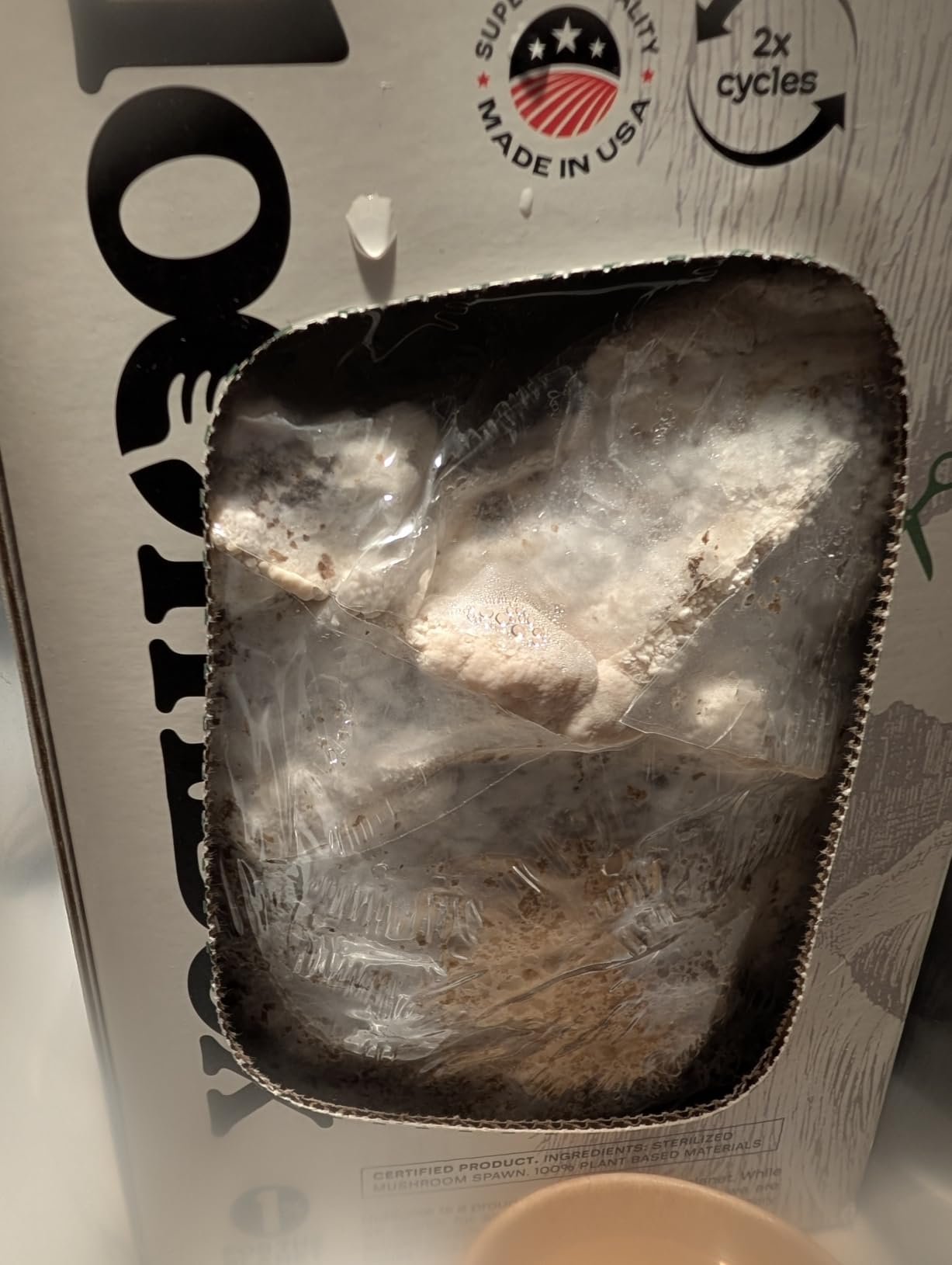 BloomBox Lion's Mane Mushroom Grow Kit - Spray & Grow - Pre-Inoculated Indoor Mushroom Farm - Brain Health & Focus - Harvest Fresh Gourmet Mushrooms in Days customer photo 2