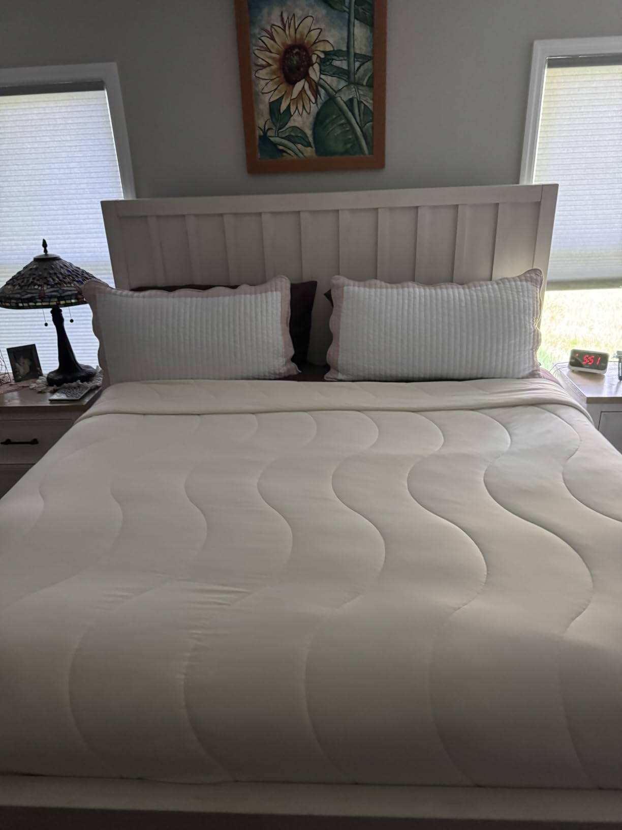 REST Evercool Cooling Comforter Blanket for Hot Sleepers, Full/Queen | All-Season Bedding to Keep Cool, Reversible Cool-to-Touch Fabric for Night Sweats, Breathable, Lightweight, Machine Washable customer photo 1
