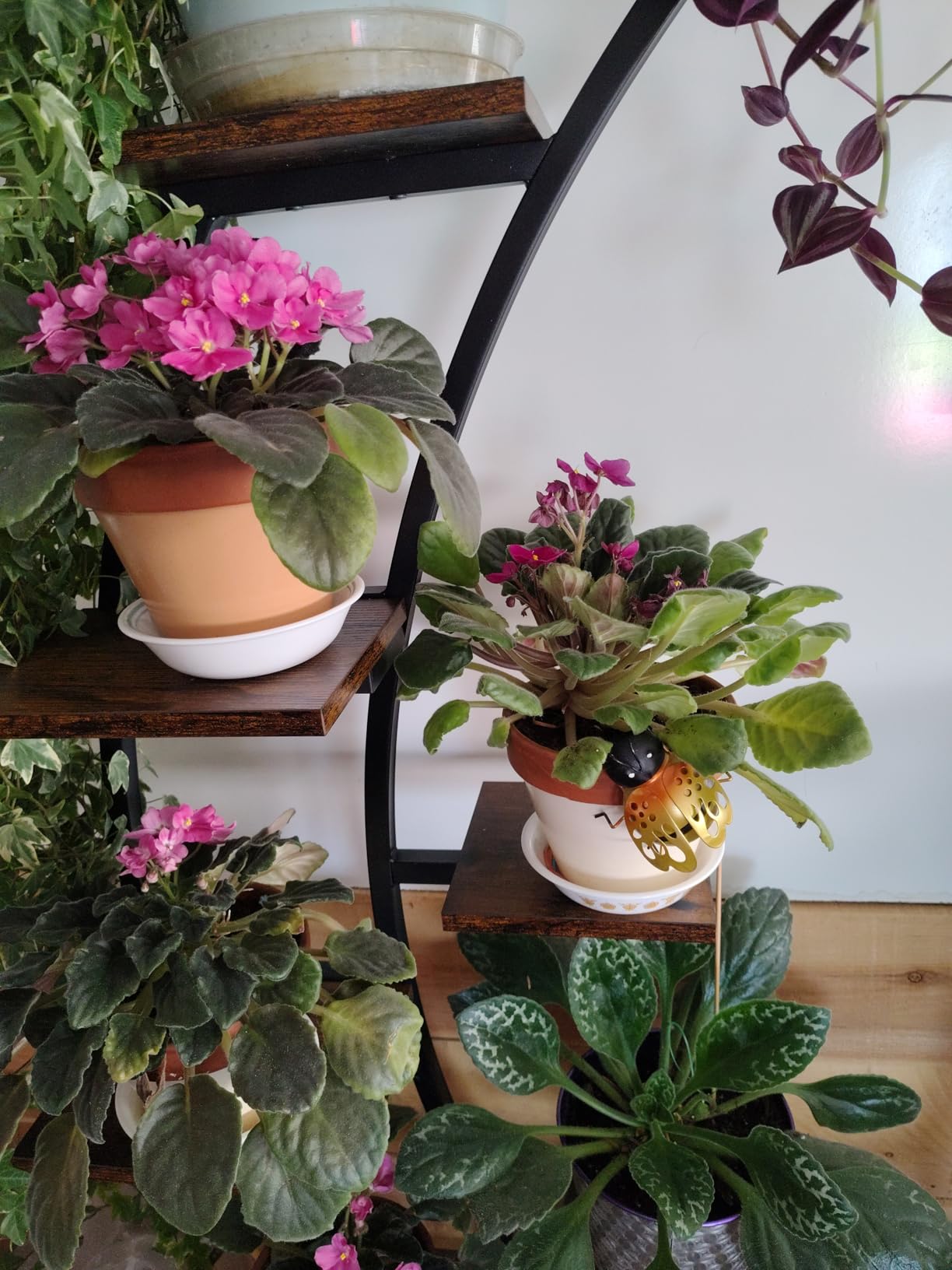 2 Pack Plant Stand Indoor with Grow Lights, 9 Tier Large Tall Plant Shelf | 64