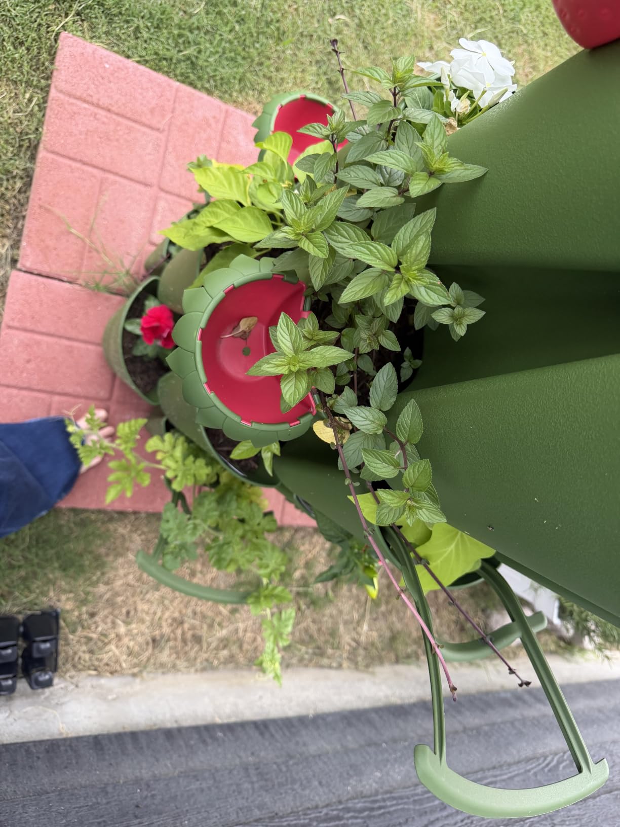 Patented Large 5 Tier Vertical Garden Planter with Patented Internal Watering System Great for Growing a Variety of Strawberries, Vegetables, Herbs, & Flowers (Evergreen) customer photo 1