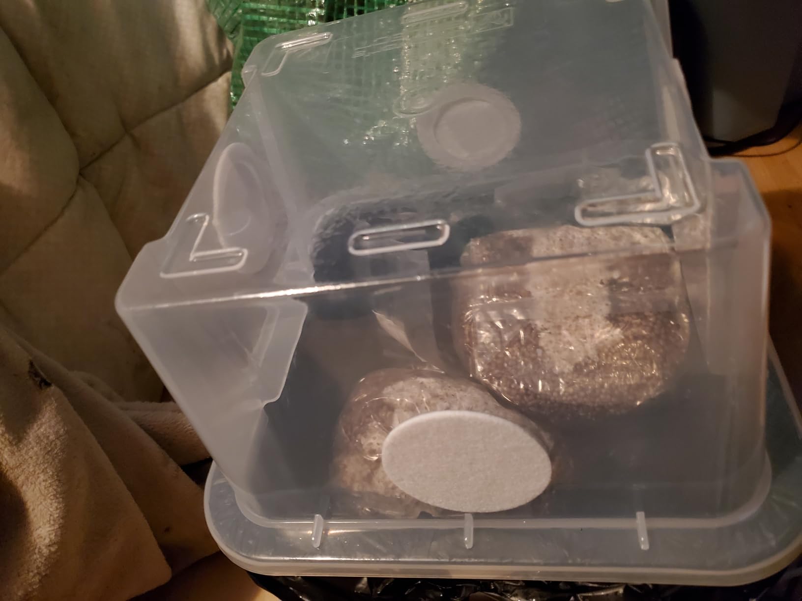 Grower's Select Mushroom Monotub Fruiting Chamber with Filter Disks and Liner customer photo 1