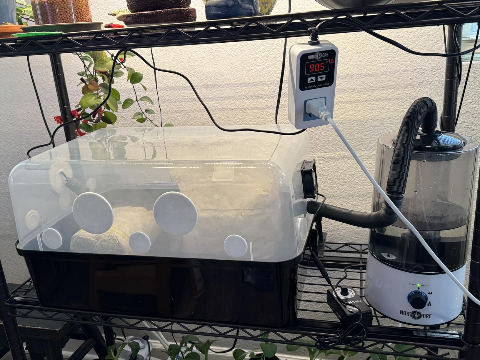 North Spore 'Boomr Bin' Mushroom Cultivating Monotub & Fruiting Chamber customer photo 1