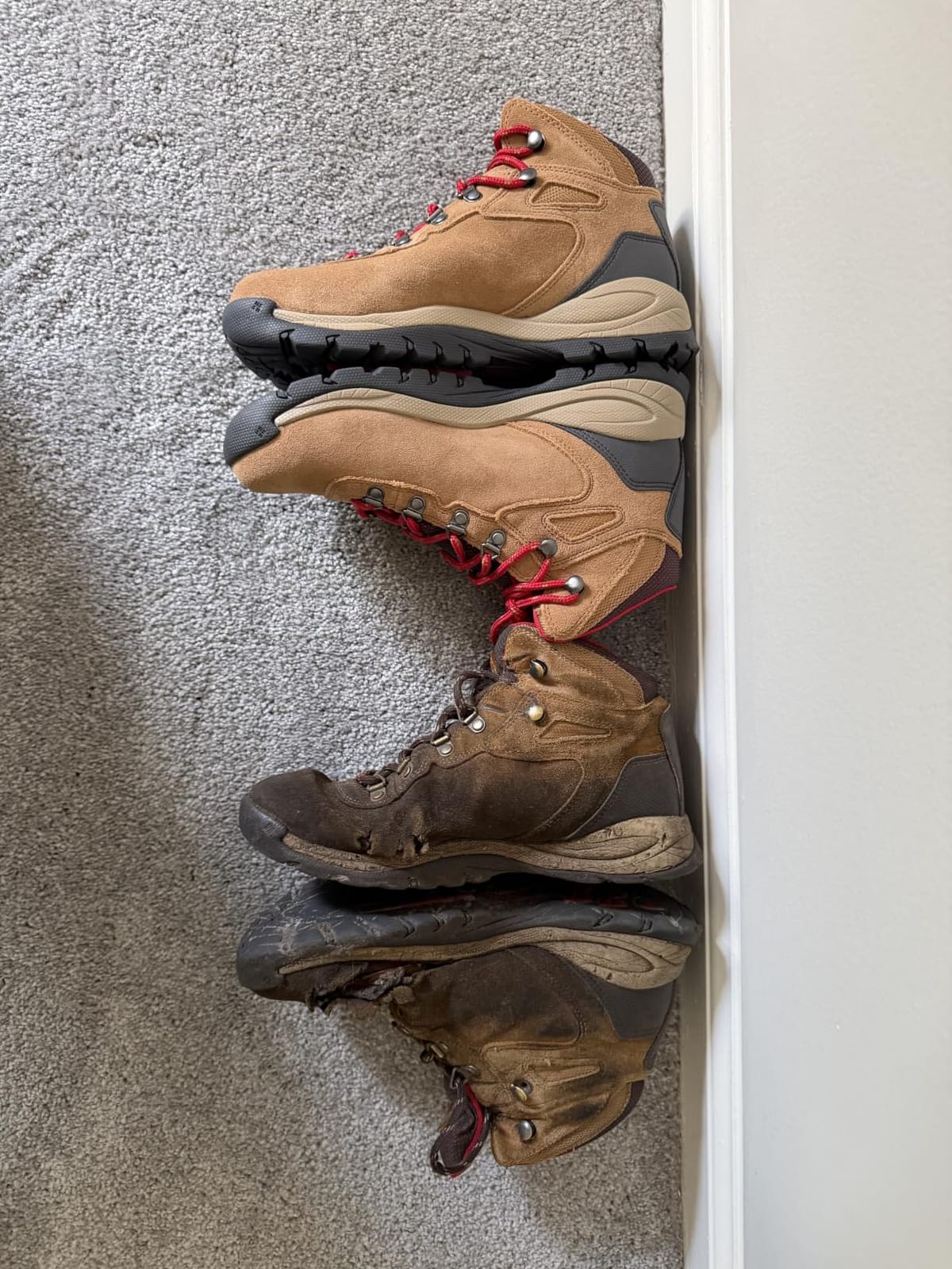 Columbia womens Newton Ridge Plus Waterproof Amped customer photo 1