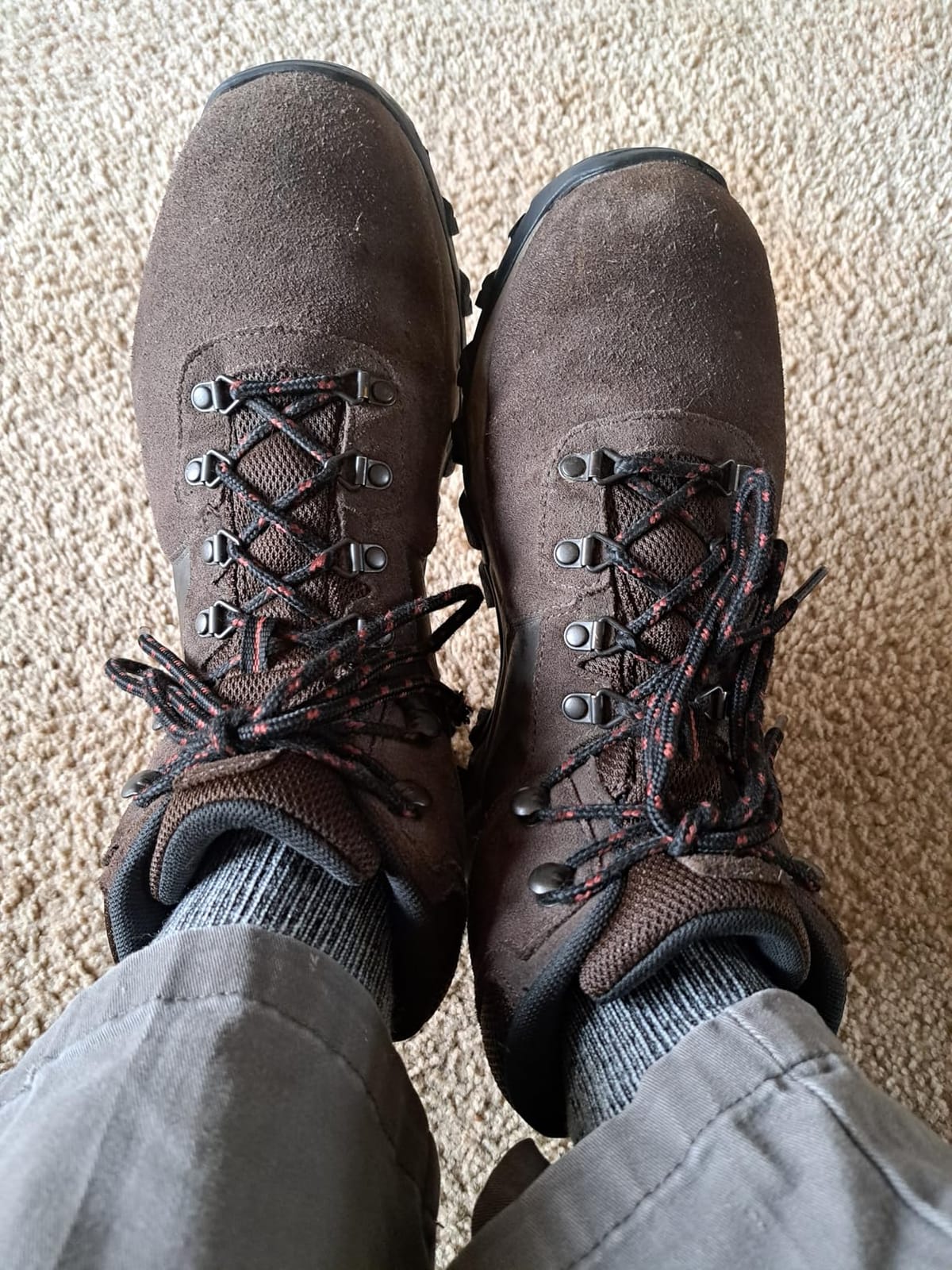 Columbia Newton Ridge Plus II Suede Waterproof Hiking Boot customer photo 1