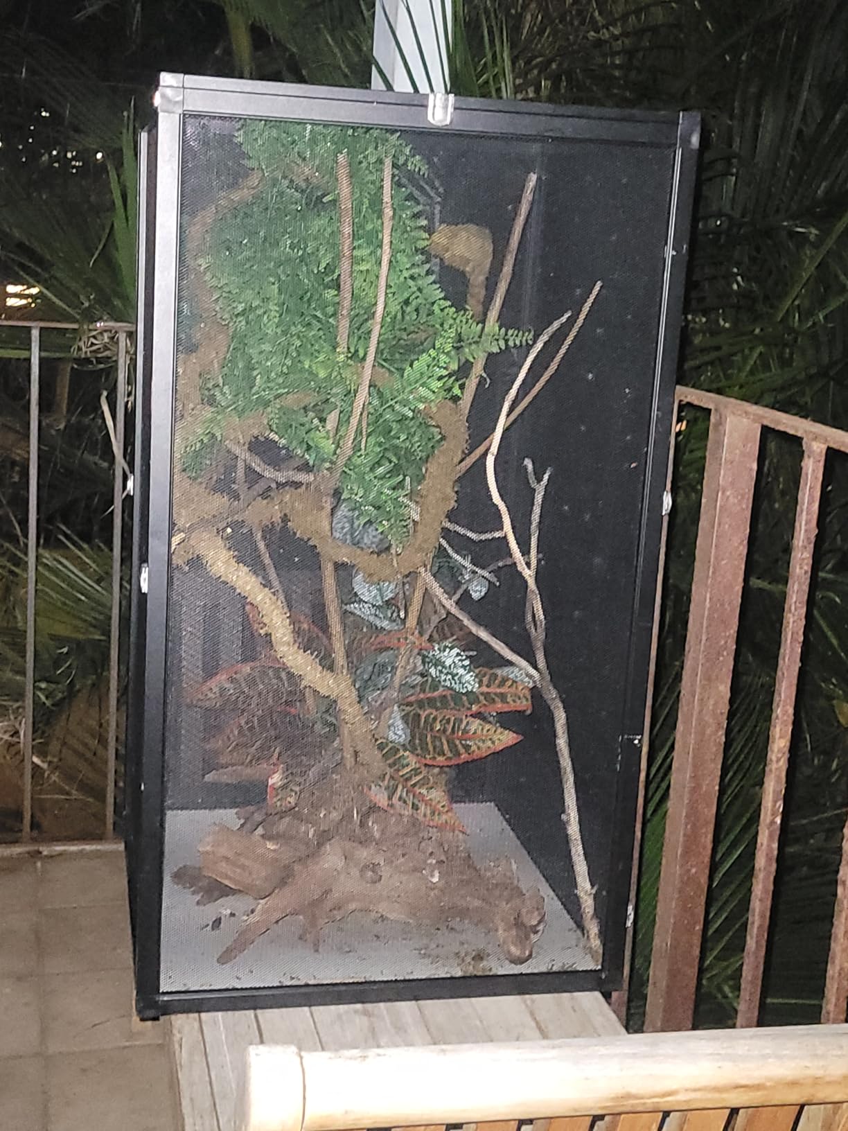 45 Gal Foldable Reptile Terrarium for Gecko & Dragon | 360° clear view with detachable & foldable design for portability. High airflow mesh. Fits crested geckos, chameleons customer photo 1