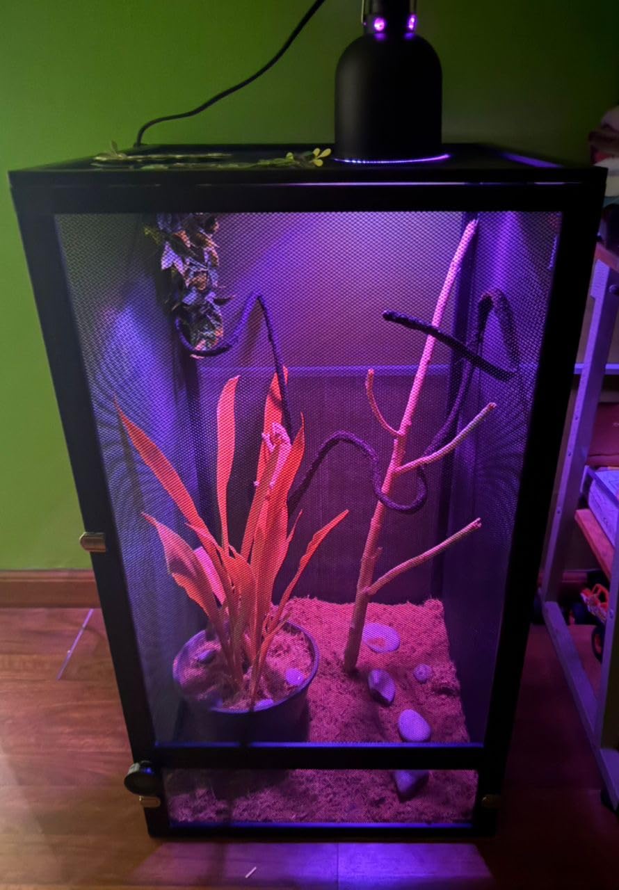 45 Gal Foldable Reptile Terrarium for Gecko & Dragon | 360° clear view with detachable & foldable design for portability. High airflow mesh. Fits crested geckos, chameleons customer photo 2