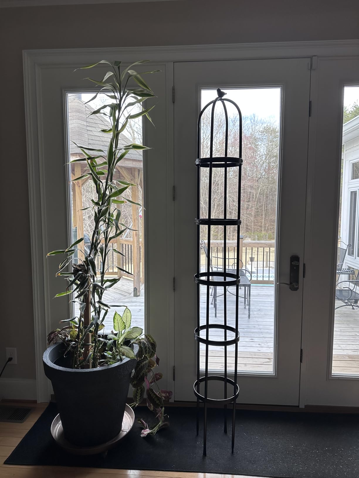 Evergreen 5 ft Garden Trellis for Climbing Plants Vines, Jasmine & Flowers, Rustproof Metal Obelisk Trellises, Outdoor & Indoor Plant Support for Potted Planters (Bronze) customer photo 1