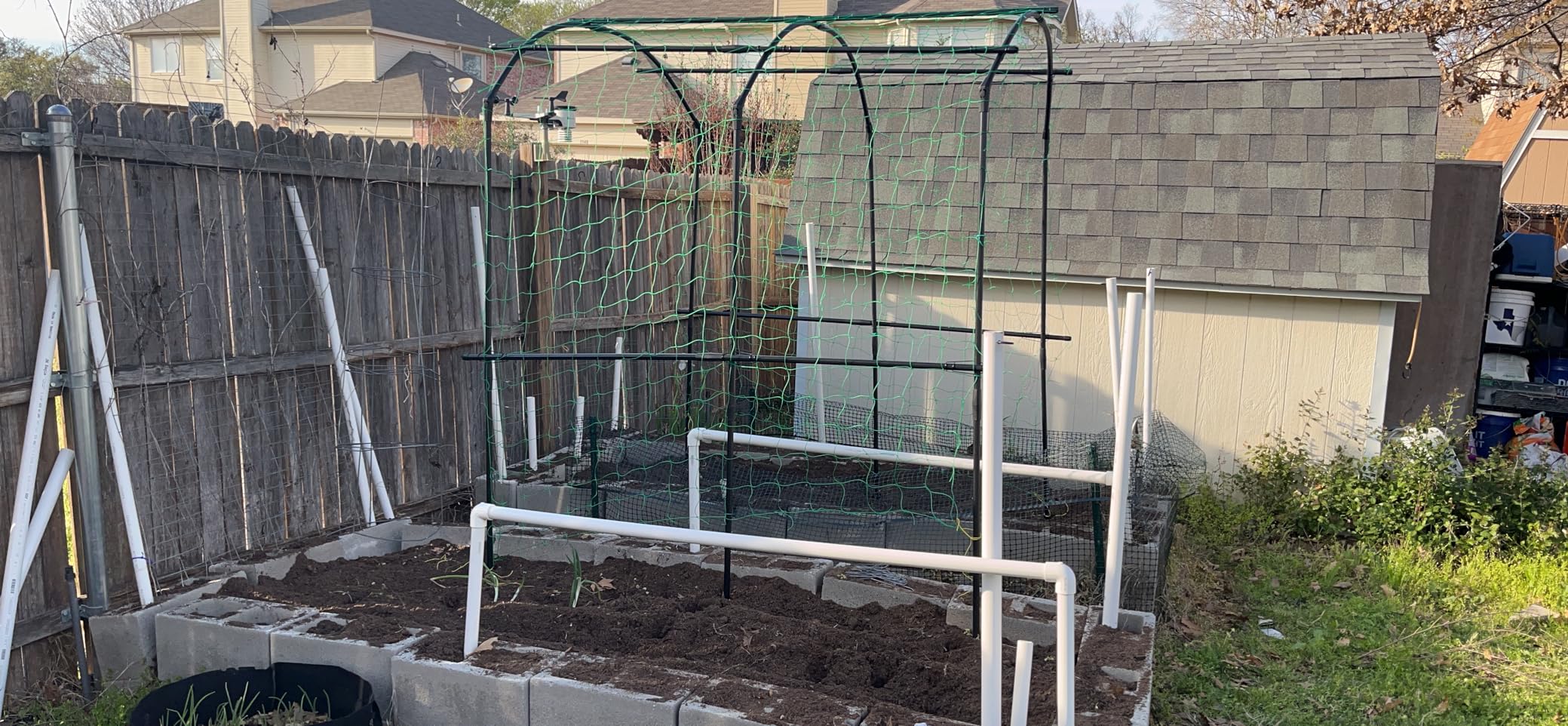 DoCred Garden Arch Trellis, 87''H x 75''L Metal Trellis for Climbing Plants | Large Plant Support Trellis Archway for Climbing Vine Vegetable/Fruit/Flower Outdoor Yard Lawn Garden Arch Tunnel Trellis customer photo 2