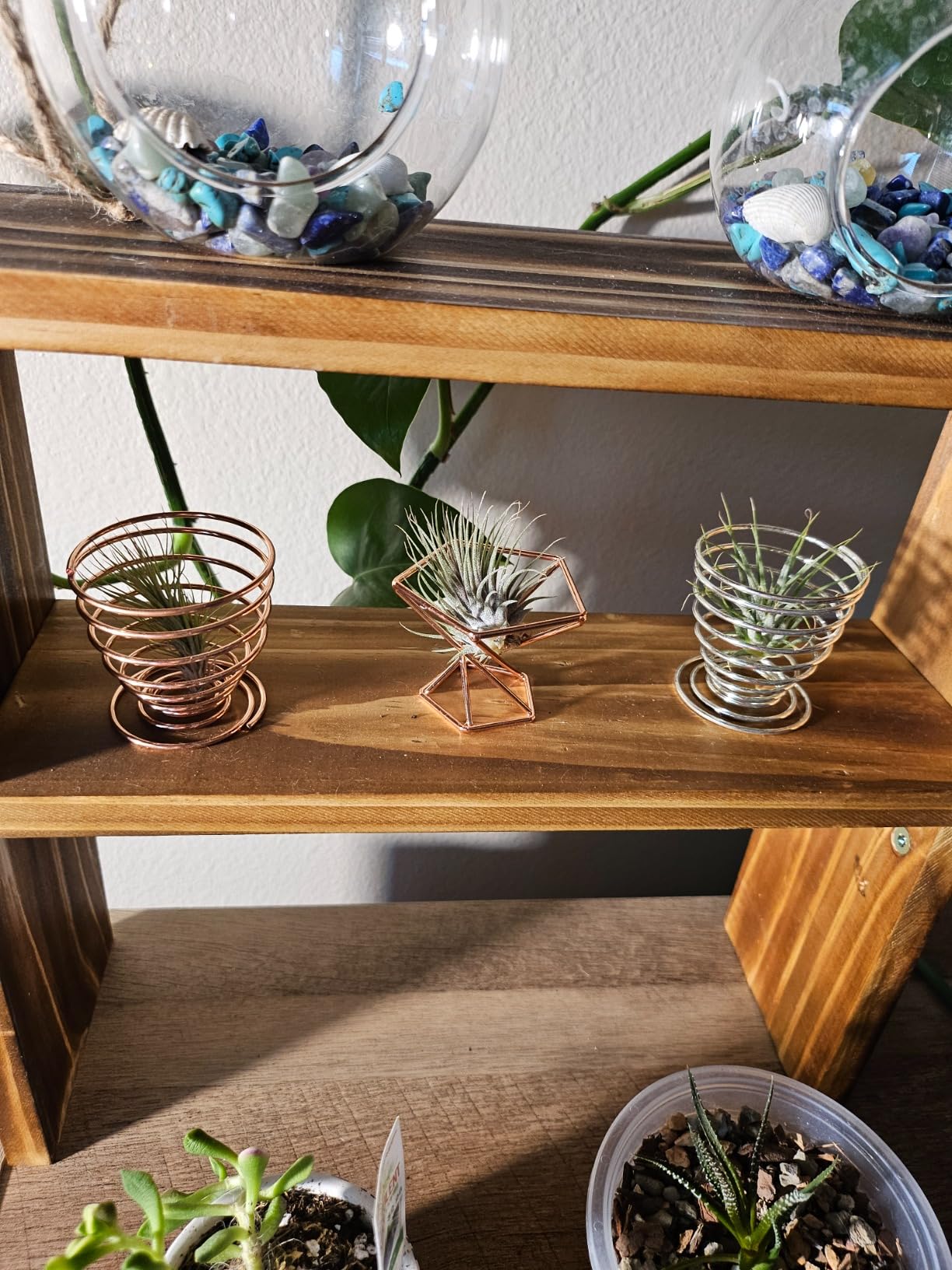 6 PCS Geometric Air Plant Holder Airplants Rack Metal Plants Stand, Airplant Stand Container Tillandsia Stainless Steel Display Racks, Wire Metal Plants Stand Planter Shelves customer photo 1