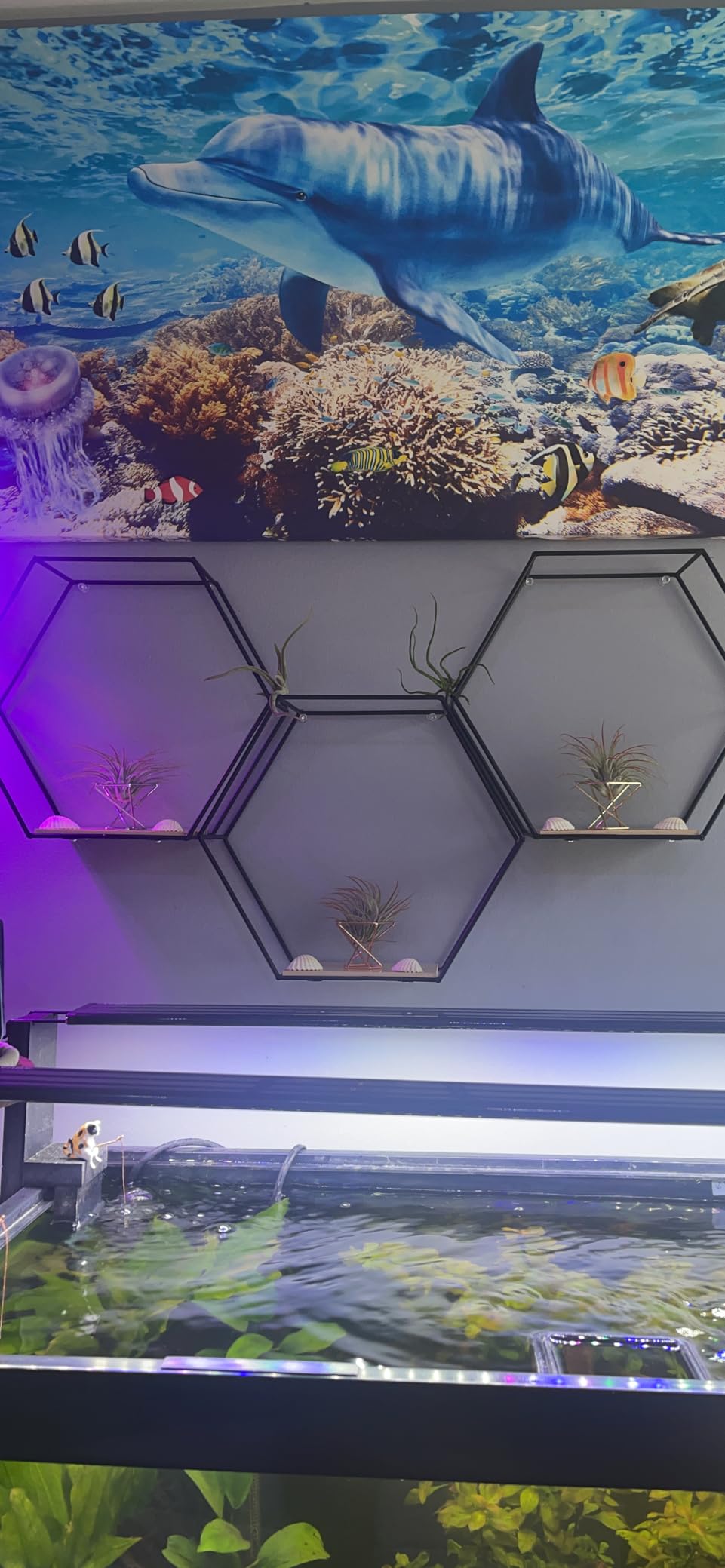 6 PCS Geometric Air Plant Holder Airplants Rack Metal Plants Stand, Airplant Stand Container Tillandsia Stainless Steel Display Racks, Wire Metal Plants Stand Planter Shelves customer photo 2