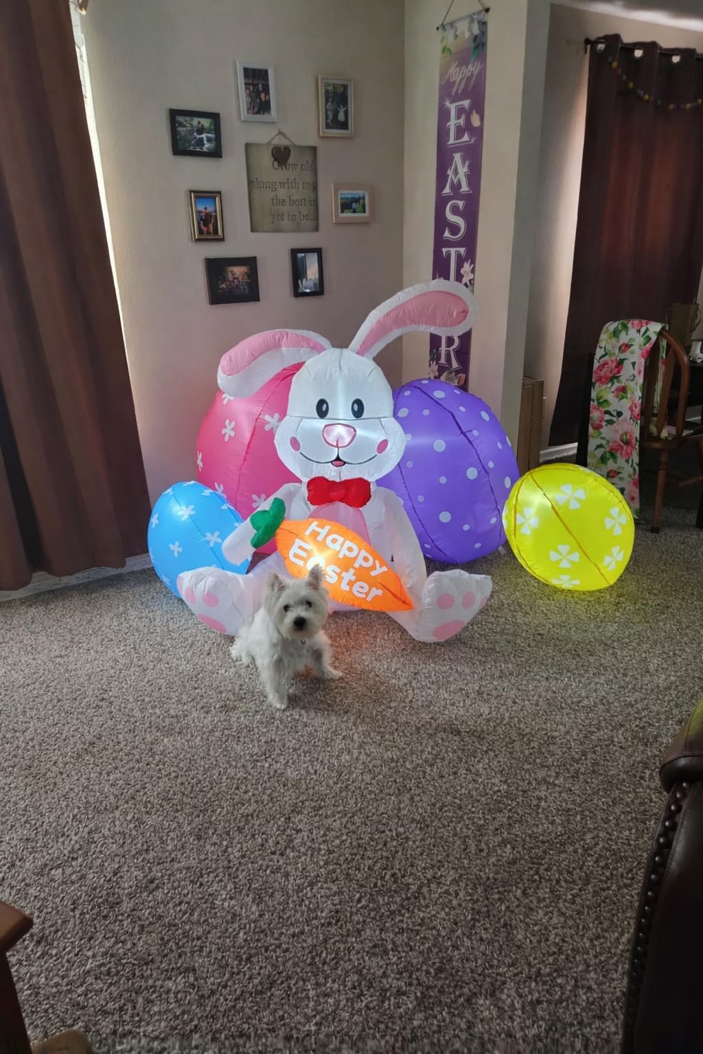 6.2FT Width Inflatables Easter Rabbit Outdoor Decor, Happy Easter Bunny and 4 Colorful Eggs Build-in 6 LEDs Indoor Outdoor Decoration Blow Up for Yard Decorations, Garden, Lawn customer photo 1