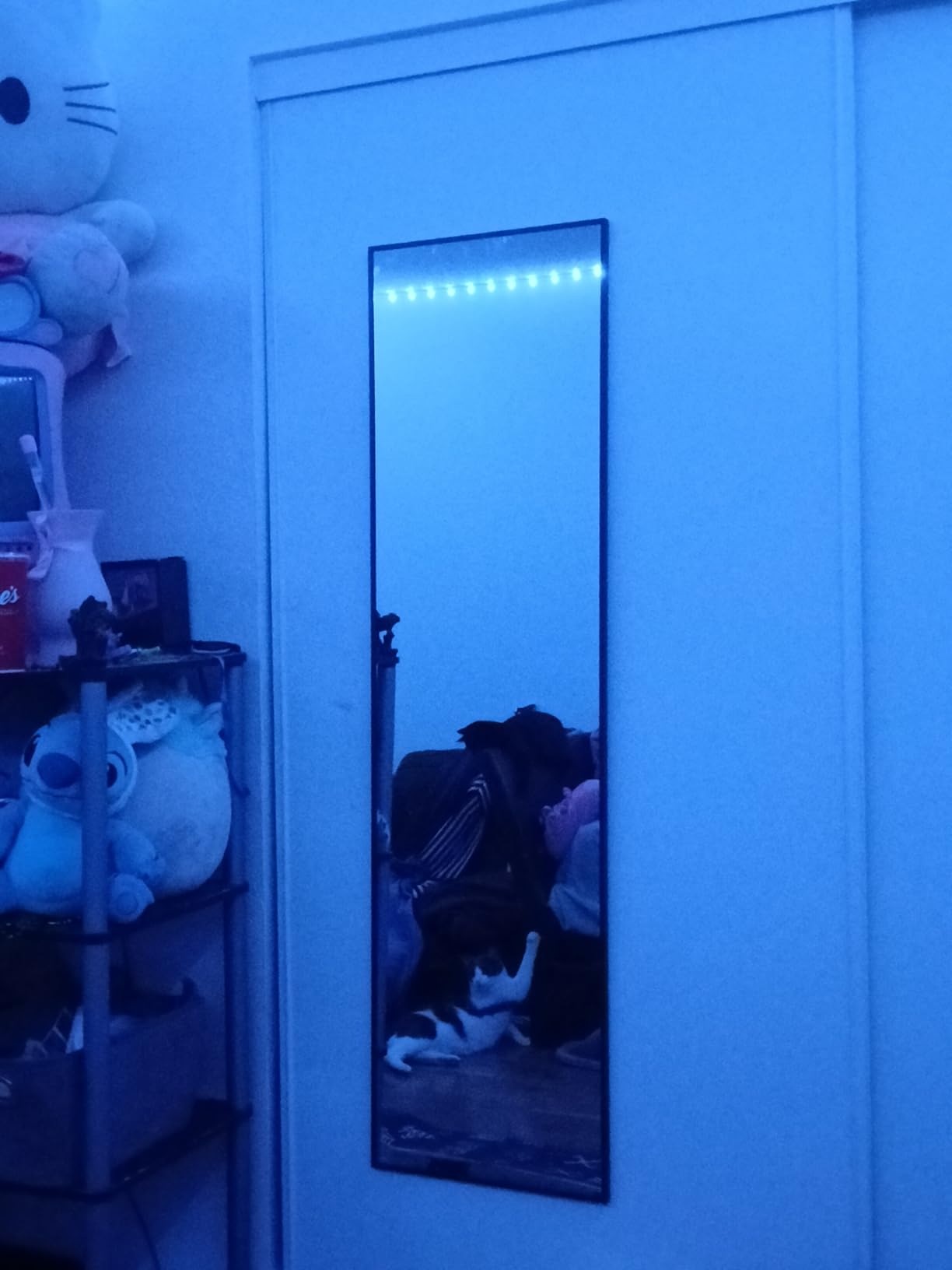 Delma Full Length Mirror with Stand, Black Floor Mirror | Aluminium alloy frame with HD float glass for distortion-free reflection. Free standing or wall mounted. customer photo 1