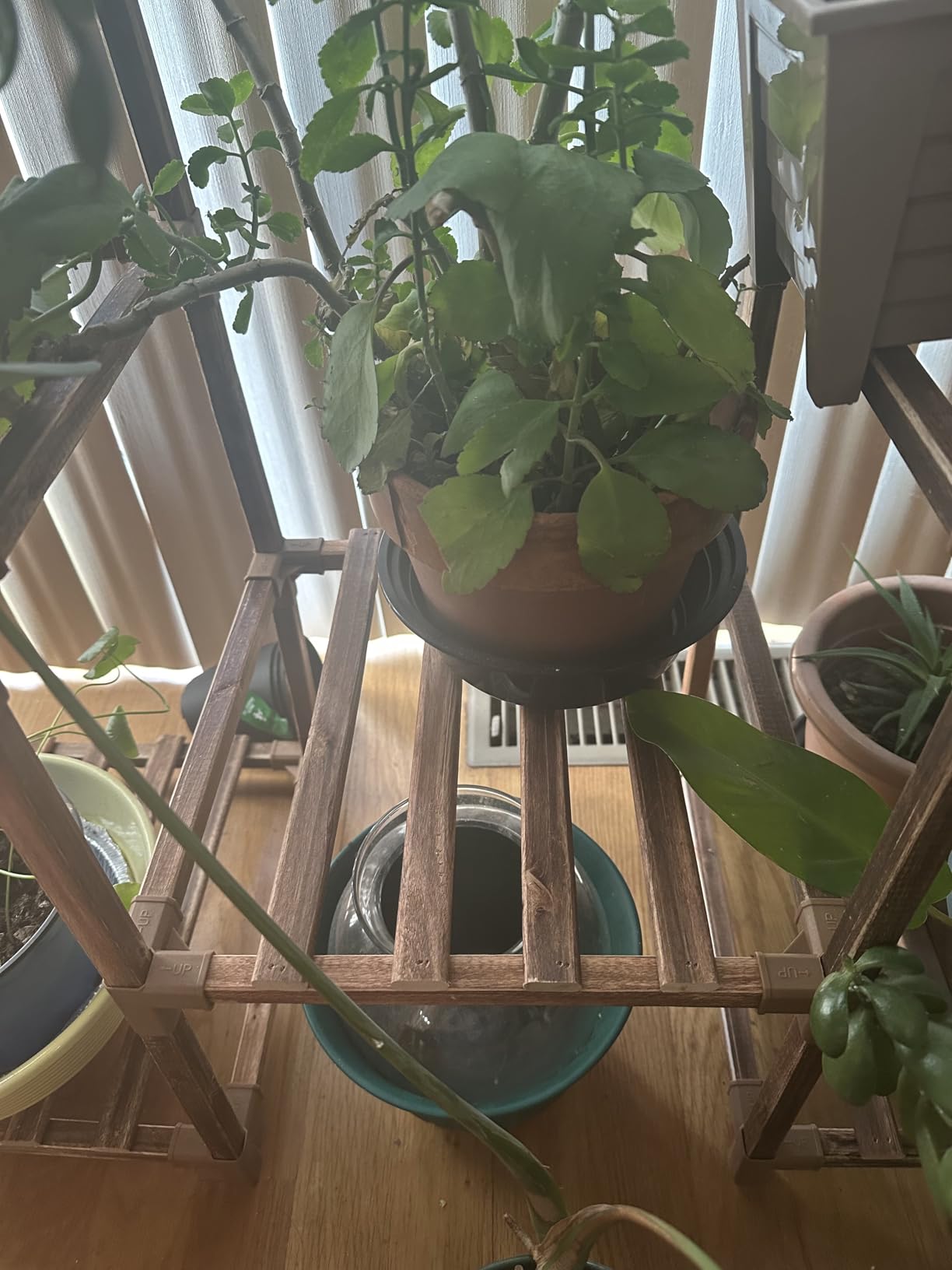 GENTINGBRO Plant Stand Indoor Outdoor 62.2