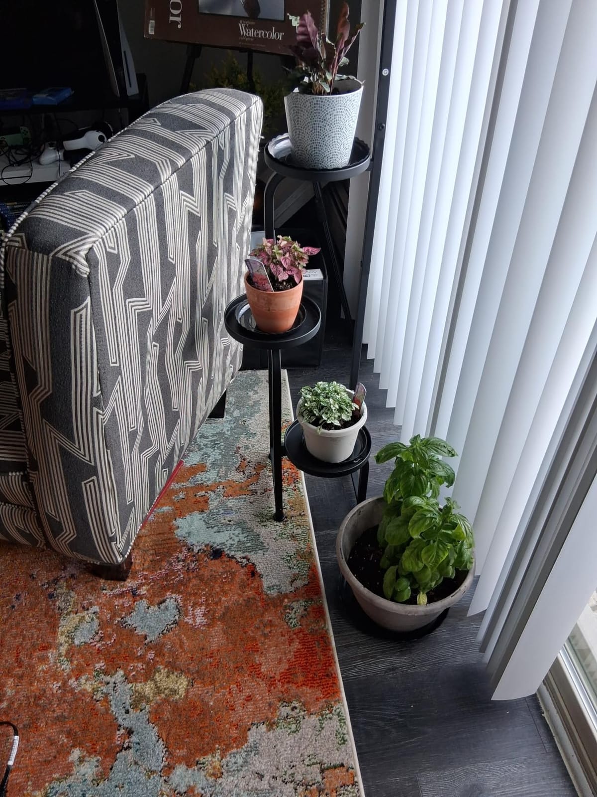 Bamworld Tall Plant Stand Indoor Outdoor Corner Metal Flower Pot Stands | 4 Tier Heavy Duty Plant Shelf for Multiple Plants Plant Table for Patio Garden Balcony Living Room Bedroom (Patent Design) customer photo 1