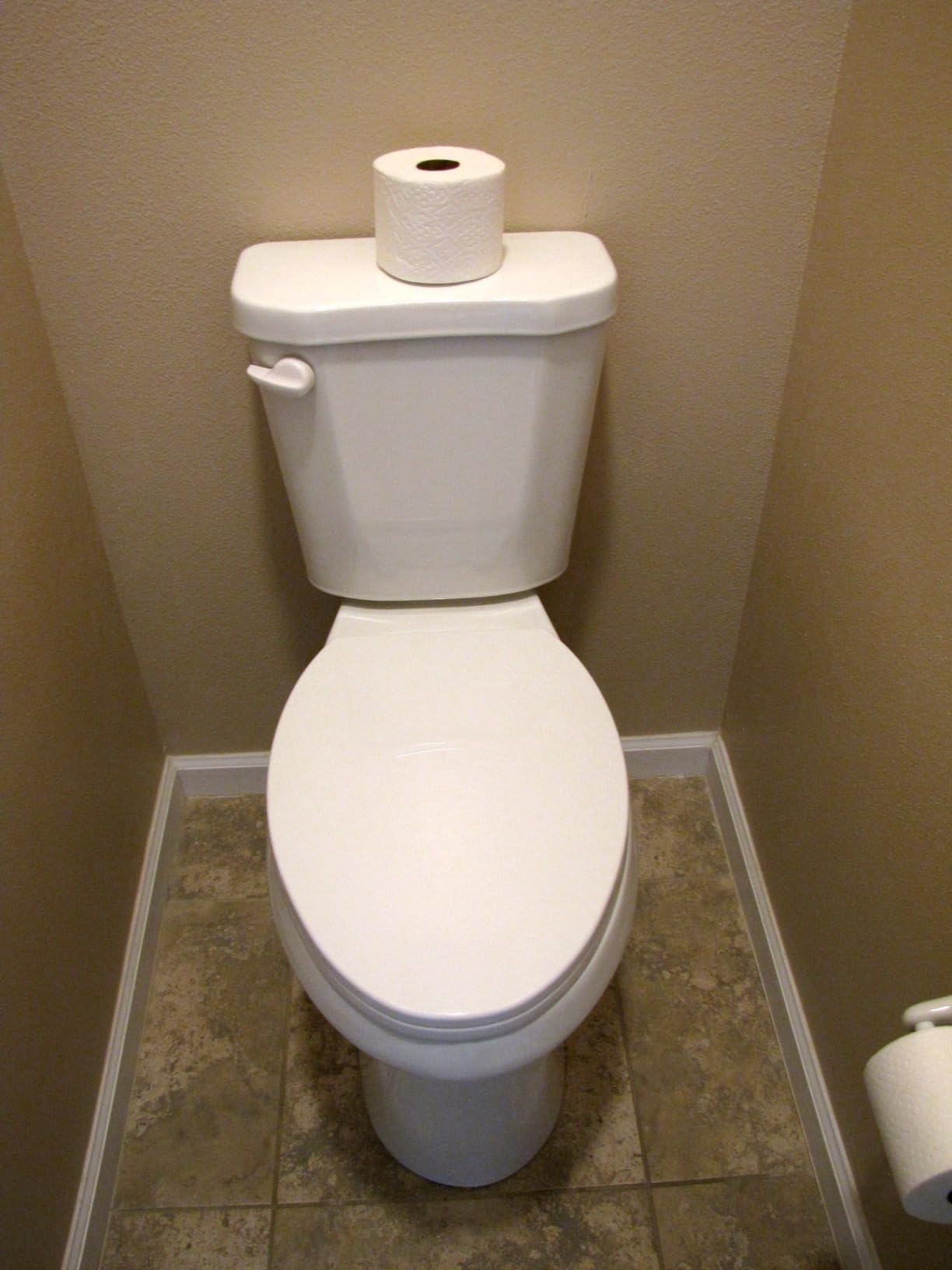 Simple Project 21 Inch High Extra Tall Toilet for Seniors & Tall Person | Elongated Comfort Seat, 1.28 GPF Powerful Single Flush High Tall Toilets, 12 Inch Rough In Bathrooms Comfort Height Toilet customer photo 1