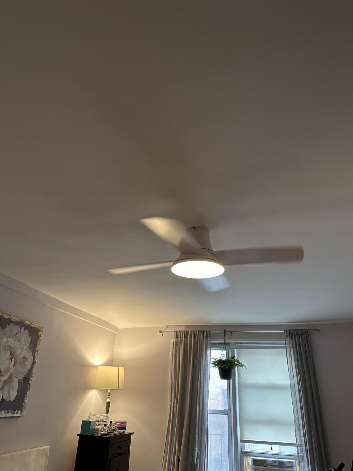 DREO Ceiling Fans with Lights, 44 Inch, RGBIC Flush Mount Smart Ceiling Fan | Quiet DC Motor for Bedroom, Dimmable LED, 12 Speeds & 3 Fan Modes, Low Profile Easy Install, 12H Timer, App & Remote Control customer photo 2