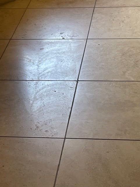 Shark Steam & Scrub with Steam Blaster Technology, White, S8201 | All-in-One Hard Floor Steam Mop with 3 Steam Modes & LED Headlights customer photo 2