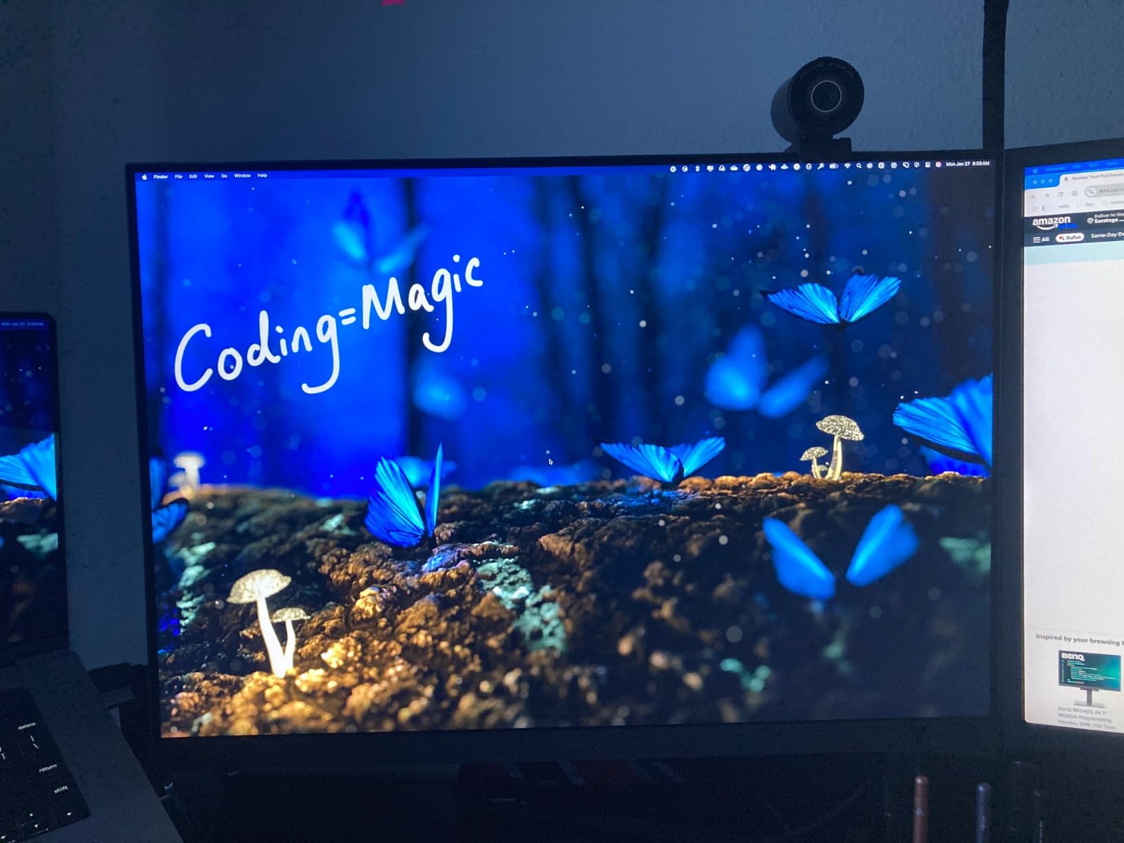 BenQ RD280U 28.2