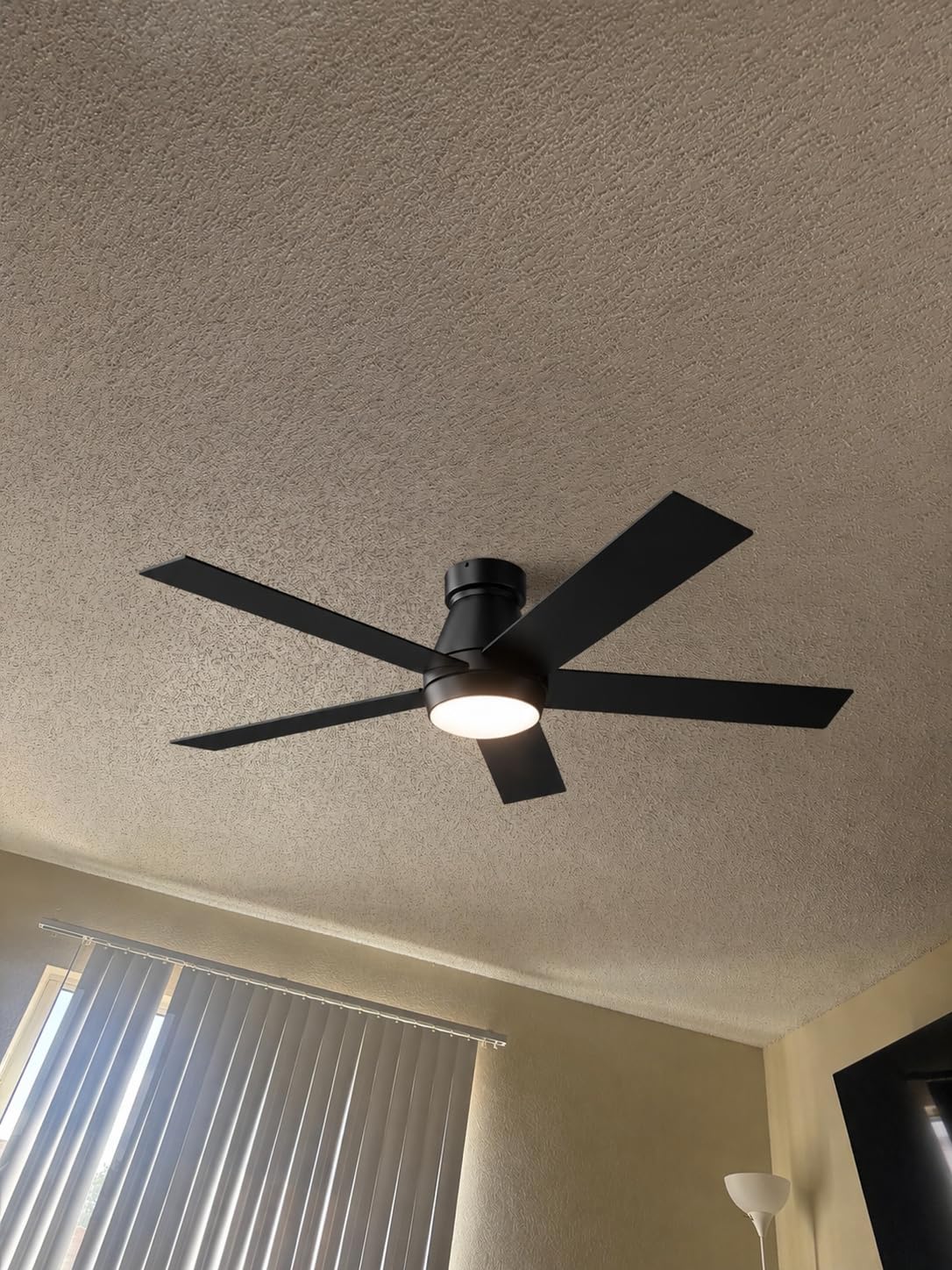 TCL 52