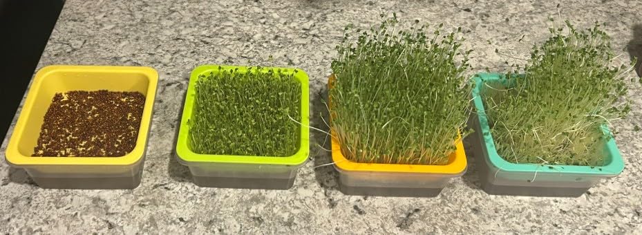 Microgreen Growing Trays, 5