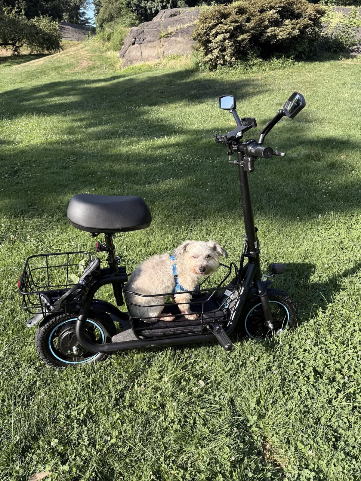 Gyroor Electric Scooter with Seat for Adults 20 Miles Range customer photo 2