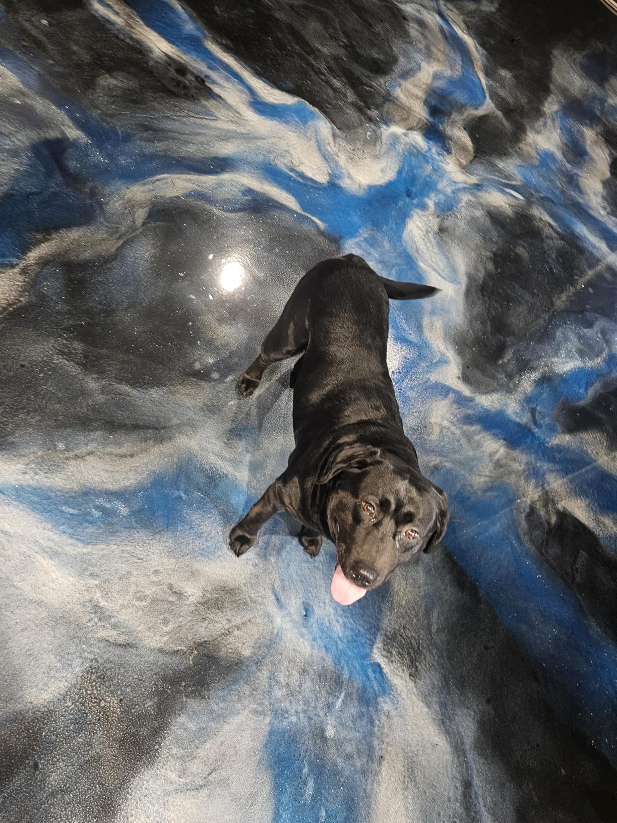 Self Leveling Epoxy Resin Kit - ANE Garage Floor Epoxy Kit Spreads Seamlessly. Durable, Industrial Grade Clear Epoxy Resin for Concrete Floors and Countertops - Black customer photo 2