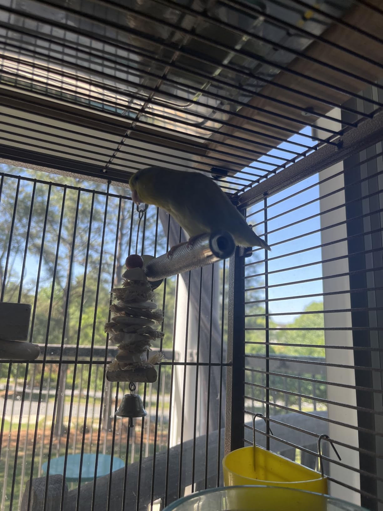 KATUMO Parrot Perch - Stainless Steel African Grey Perch Bird Cage Accessories for Small to Large Parrots (11.8 x 1.2 inch) customer photo 1