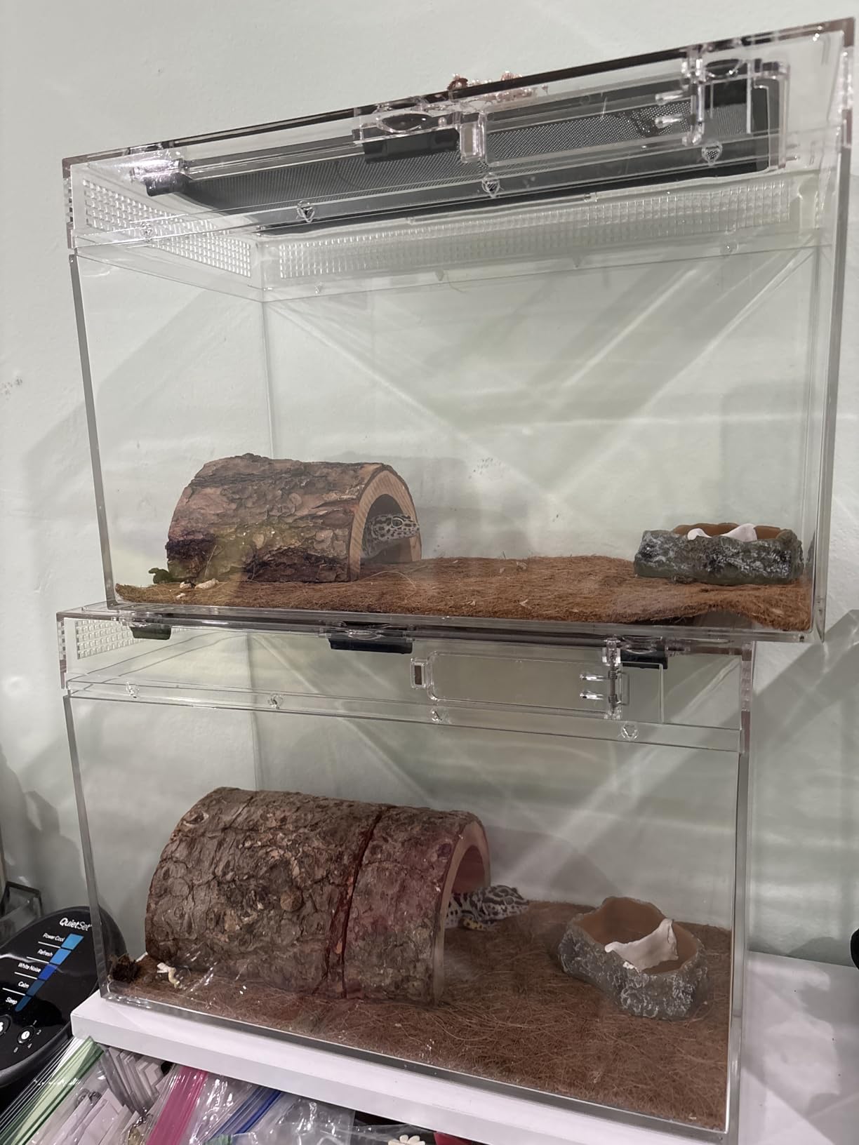 Mini Reptile Terrarium Set,11.8