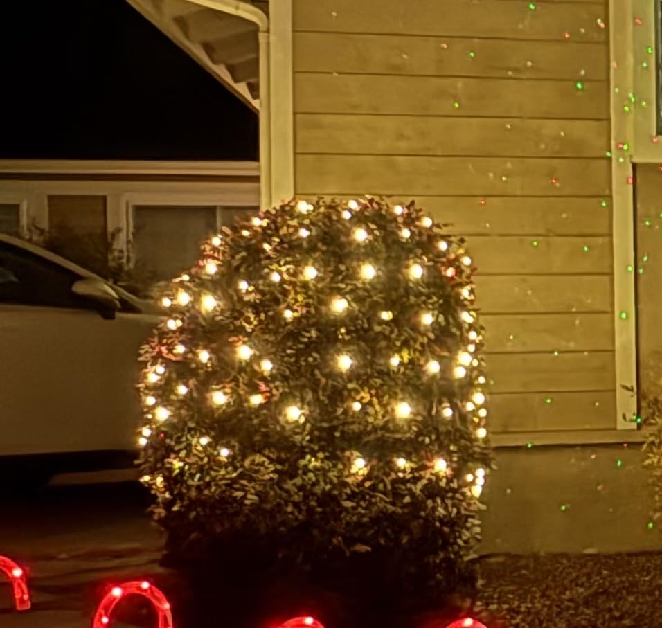 Dirnun Led Christmas Net Lights Outdoor Christmas Lights Multicolor 160LED 5ftx7ft, Waterproof Outdoor Indoor Fairy Mesh Net Light for Xmas Party, Yard, Patio, Trees, Shrubs, Bushes Decorations customer photo 1