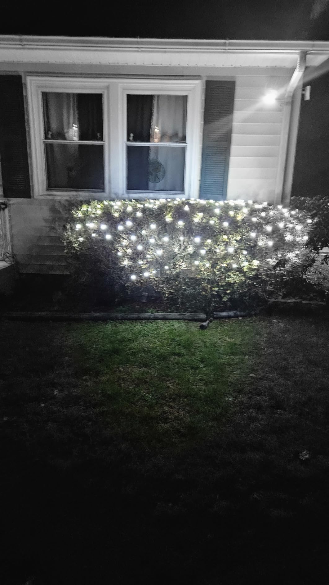 Dirnun Led Christmas Net Lights Outdoor Christmas Lights Multicolor 160LED 5ftx7ft, Waterproof Outdoor Indoor Fairy Mesh Net Light for Xmas Party, Yard, Patio, Trees, Shrubs, Bushes Decorations customer photo 2