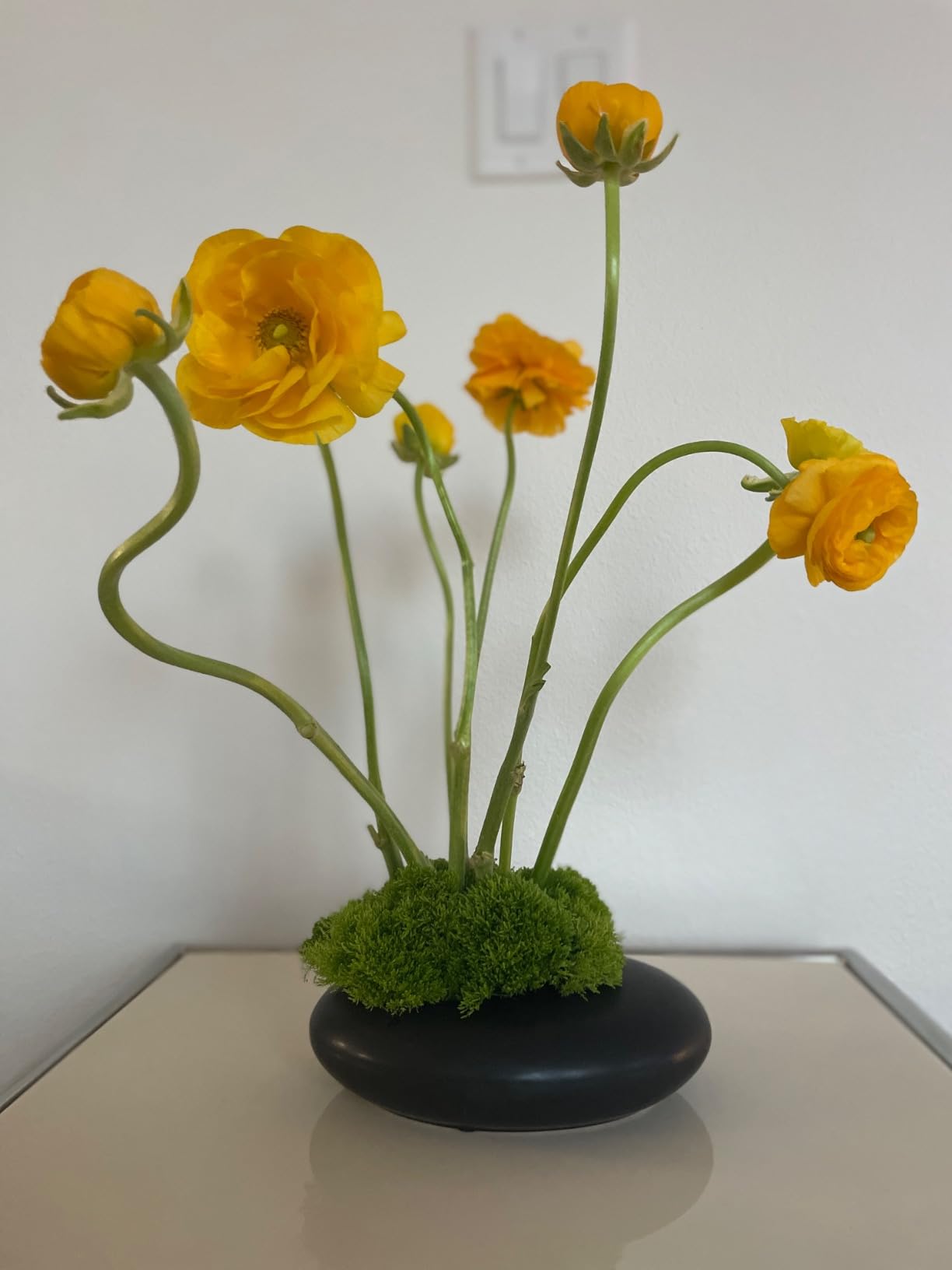 Japanese Inspired Ceramic Vase Ikebana kit, Pebble Shaped Flower Arrangement Bowl with 2inch Flower Frog Pin Frog Flower Stems Holder (White) customer photo 2