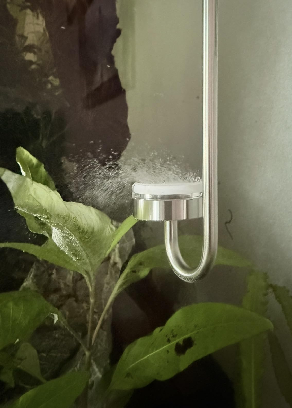 Aquarium Stainless Steel CO2 Diffuser Atomizer with Integrated Check Valve for Rimless Tanks, DC300-20 customer photo 1