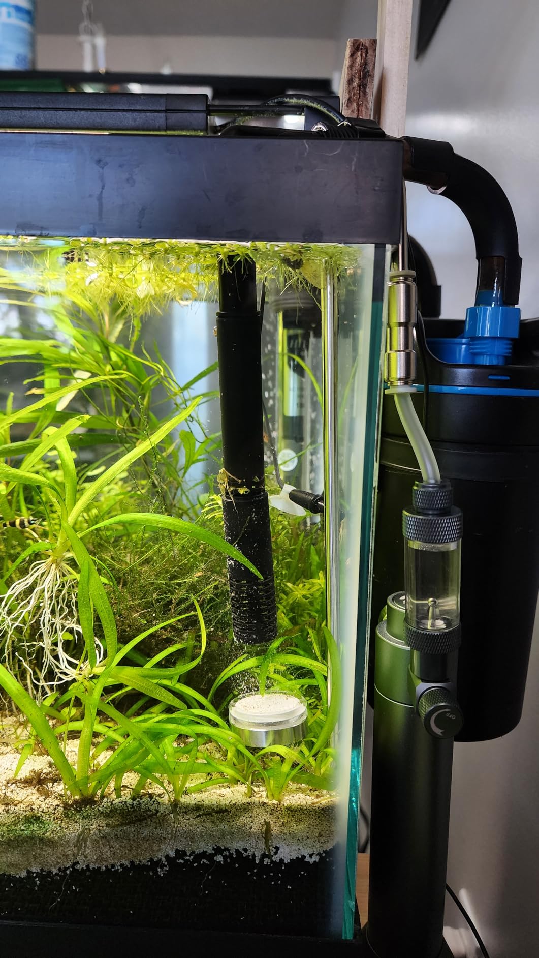 Aquarium Stainless Steel CO2 Diffuser Atomizer with Integrated Check Valve for Rimless Tanks, DC300-20 customer photo 2