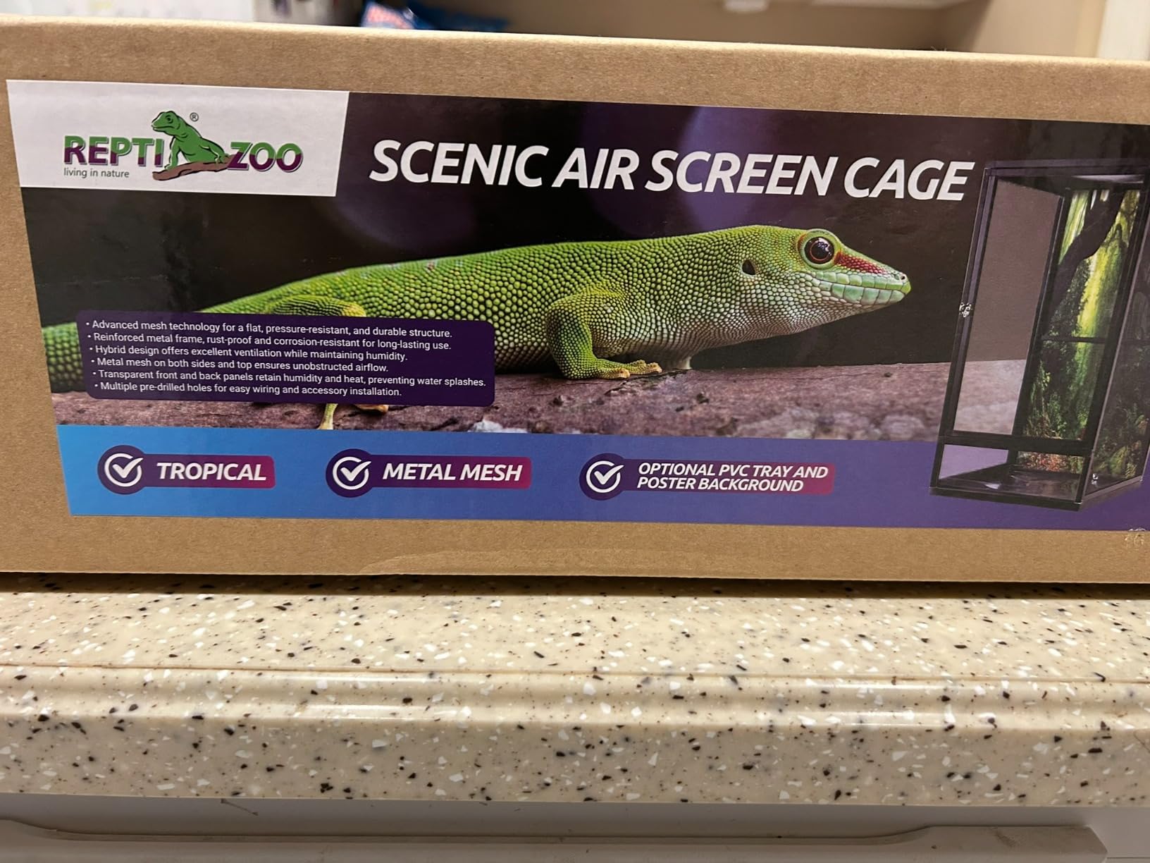 REPTI ZOO 18