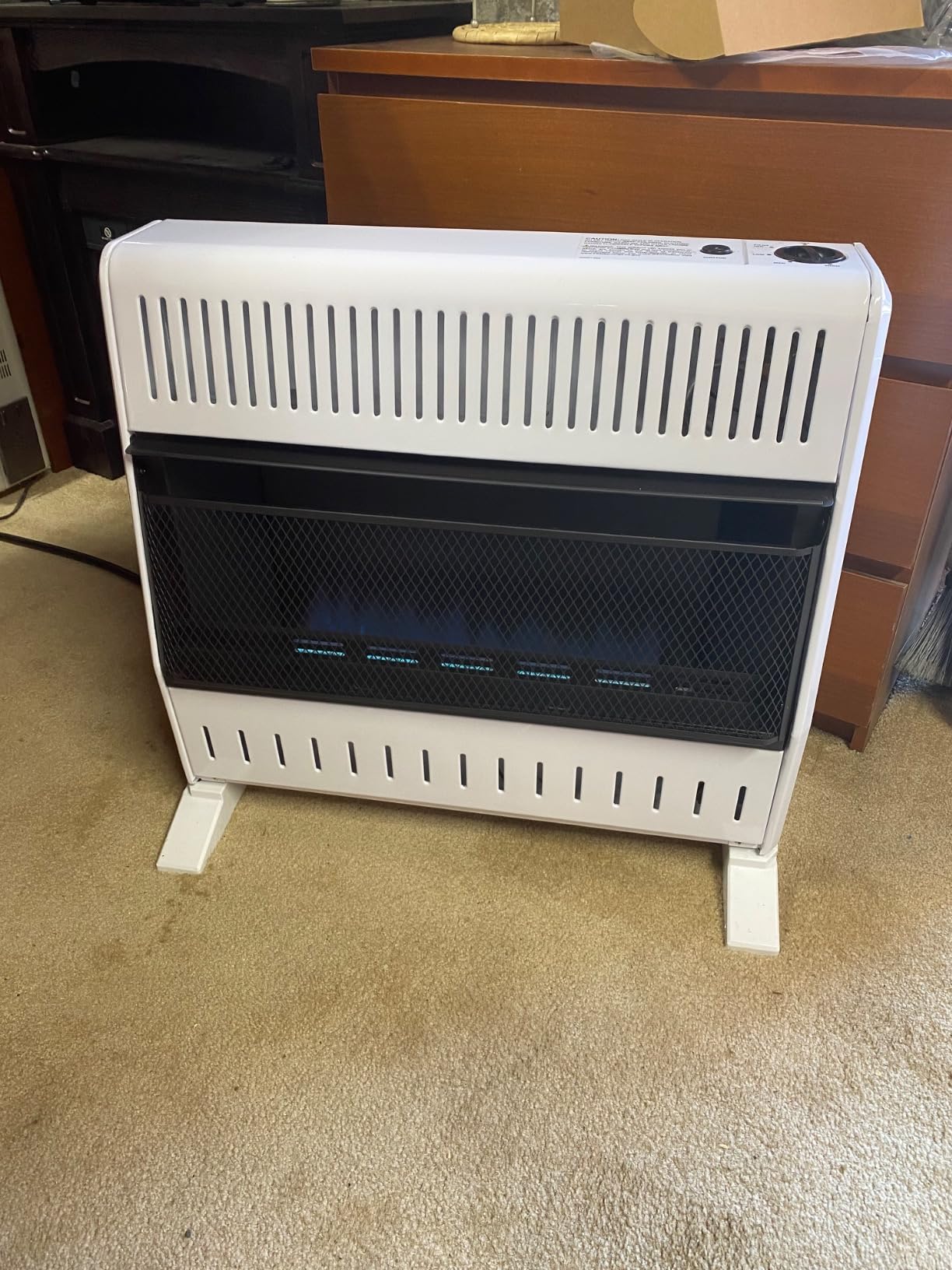 ProCom Heating Liquid Propane Ventless Blue Flame Heater With Base Feet - 30,000 BTU, Manual Control - Model# ML300HBA-B customer photo 1
