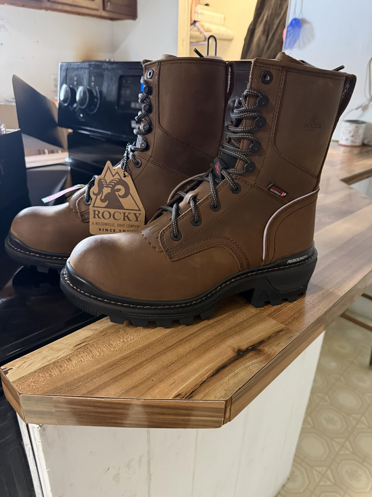 ROCKY Rams Horn Logger Composite Toe Work Boot customer photo 1
