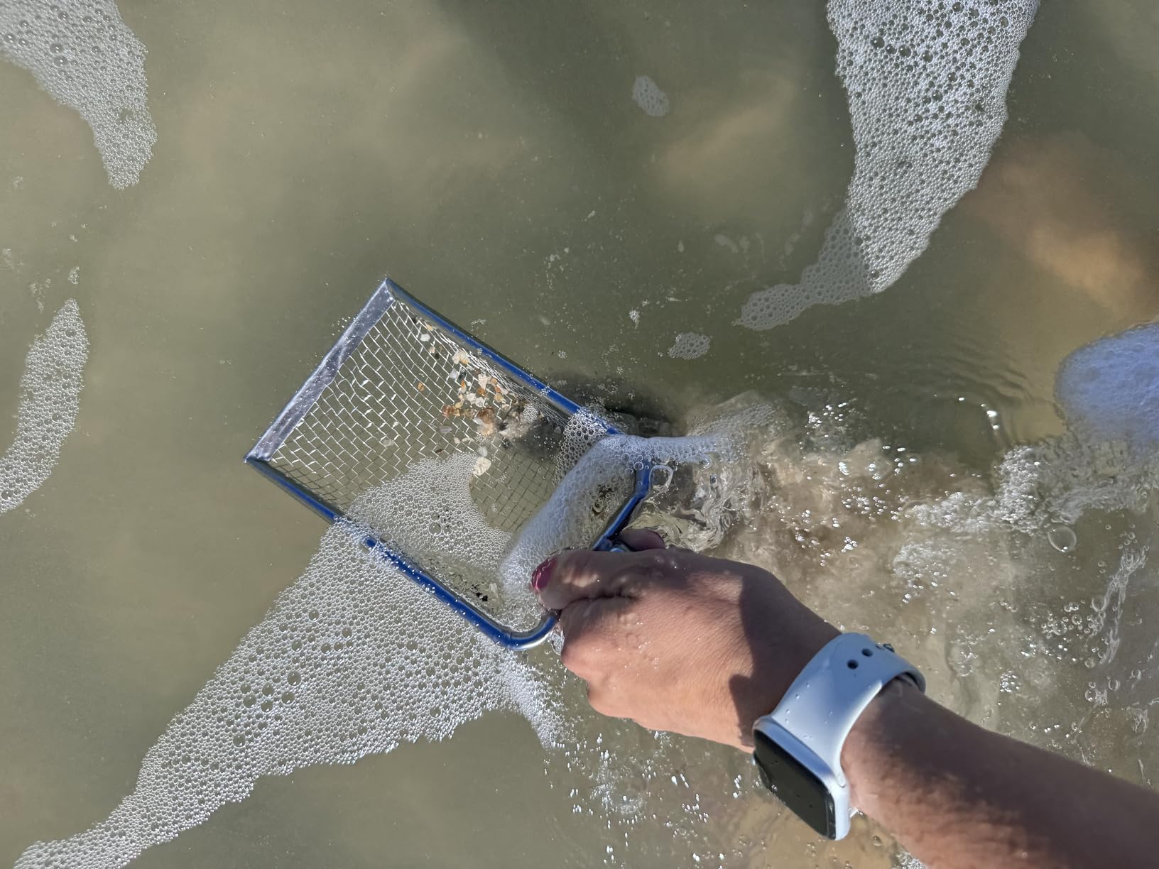 Sand Flea Rake, Long Handle Sand Sifter for The Beach, Stainless Steel Shark Tooth Sifter Comes with A 16-Inch Wide Mesh Screen for Collecting Fleas, Shark Teeth, and Seashells customer photo 2