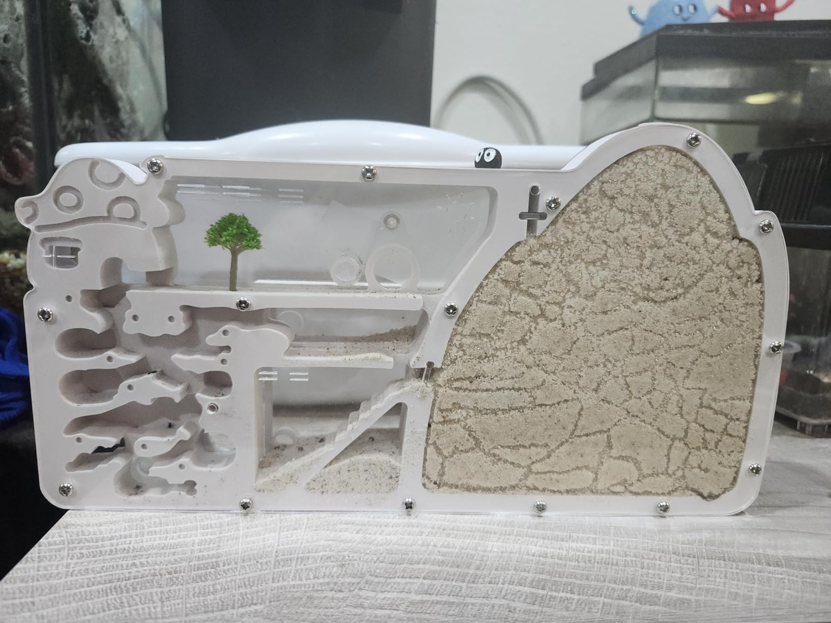 Ant Farm Castle - Large Viewing Area - Care for Live Ants - Ant Colony Observation Kits with Sand Habitat - Educational Science Gifts for Boys, Girls, Ant Farms for Kids, Adults, Student (Yellow) customer photo 1