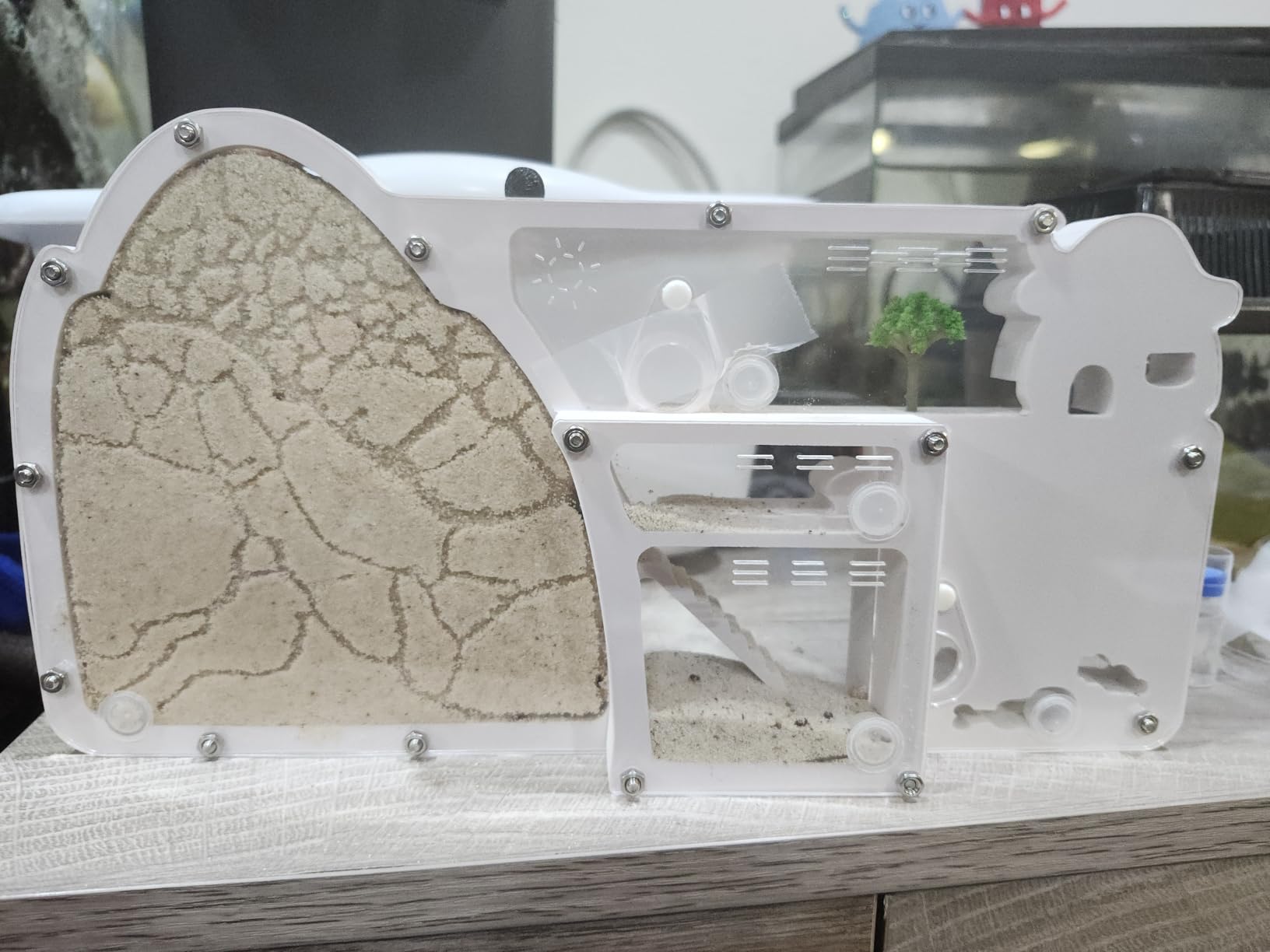 Ant Farm Castle - Large Viewing Area - Care for Live Ants - Ant Colony Observation Kits with Sand Habitat - Educational Science Gifts for Boys, Girls, Ant Farms for Kids, Adults, Student (Yellow) customer photo 2