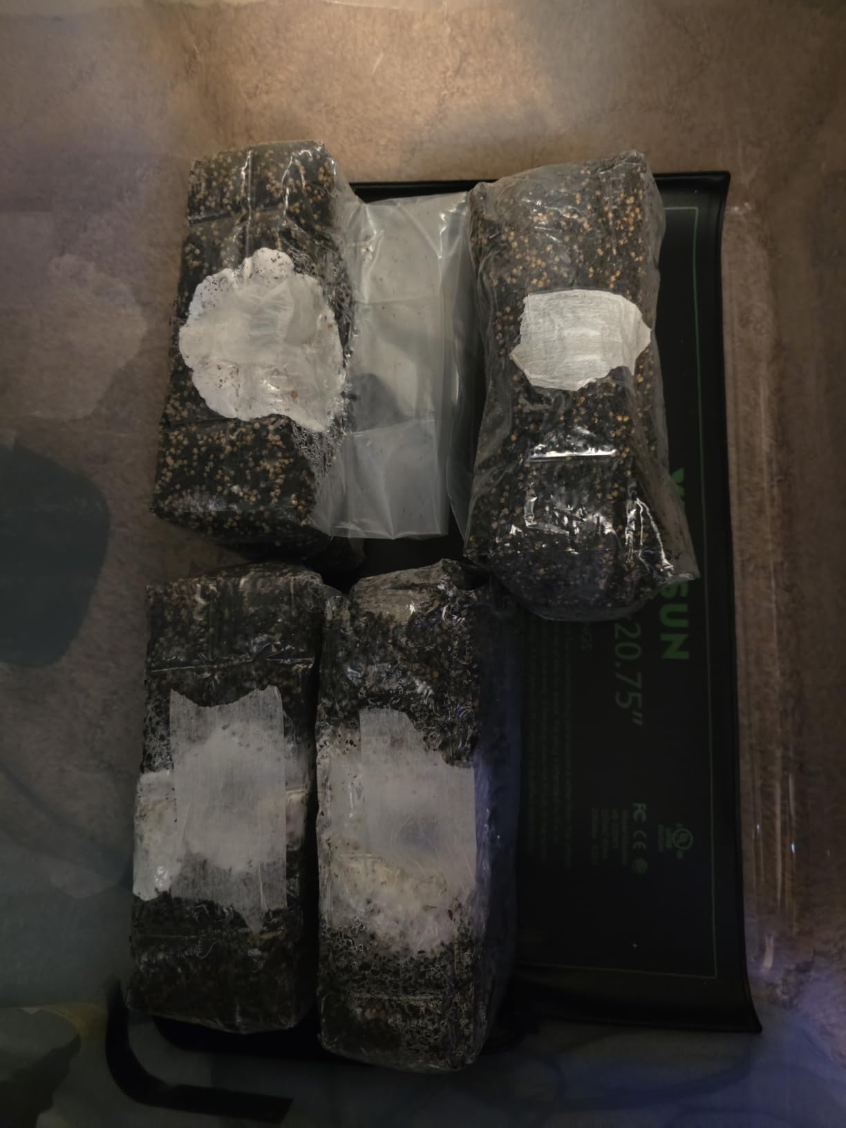 North Spore ShroomTek All-in-One Mushroom Grow Bag | with Spore Boostr Liquid Culture Accelerator for Dung-loving Mushrooms, Mycologists-made, Beginner-friendly, Just Add Spores customer photo 1