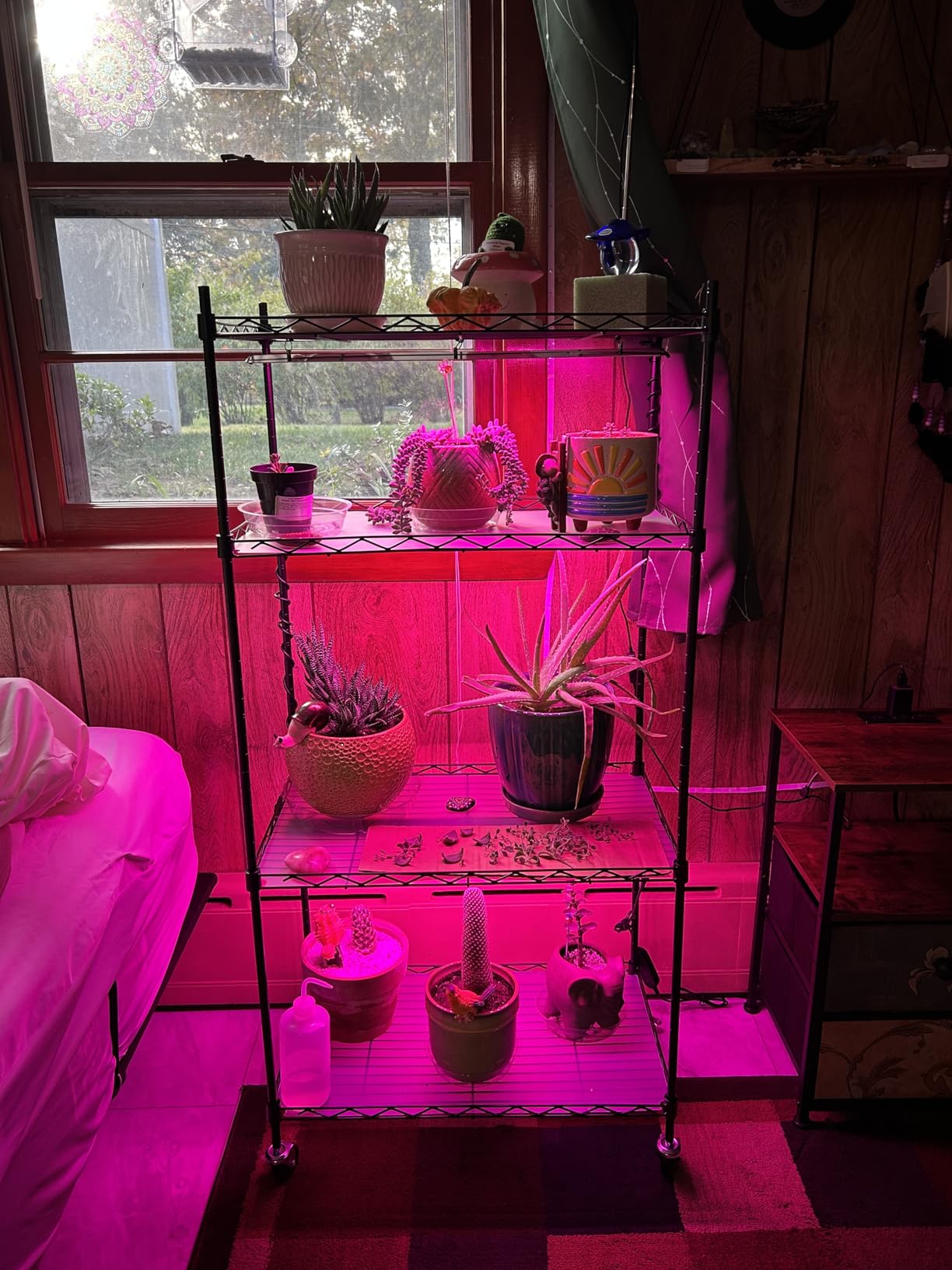 VEVOR Plant Stand with Grow Light, 4-Tier Plant Shelf with 45W Full Spectrum LED, Timer and Wheel for Seed Starting customer photo 2