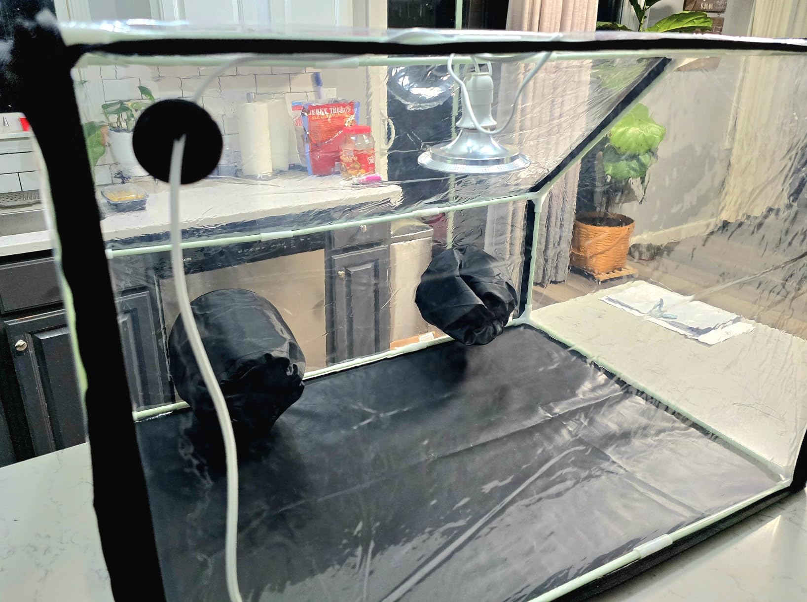 Meonum Mushroom Grow Tent and LED Growing Light Kit, 30 x 20 x 20 Inch Portable Large Still Air Box, Mycology Mushroom Growing Kit, Indoor Propagation Stations with 48 LED Mushroom Grow Lamp(Black) customer photo 2