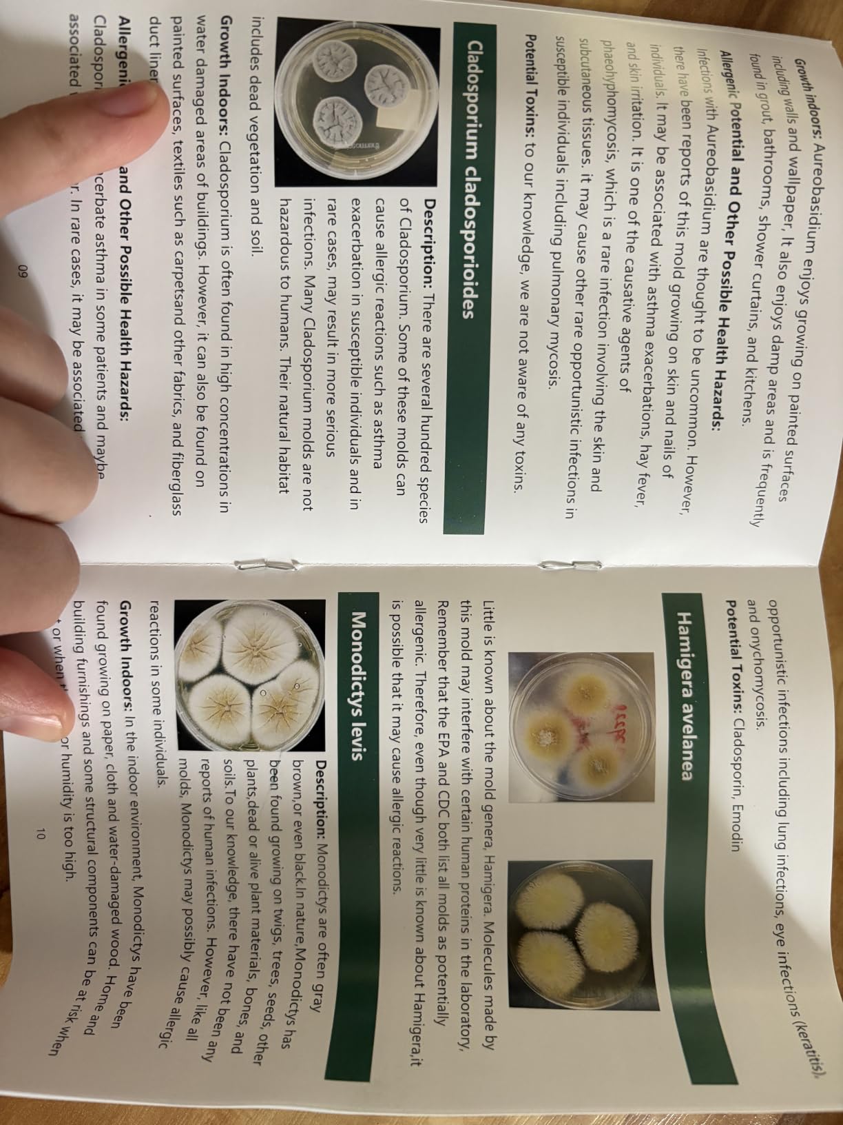 Mold Test Kit for Home, 8 Detection Tests for HVAC, Surfaces & Indoor Air customer photo 1