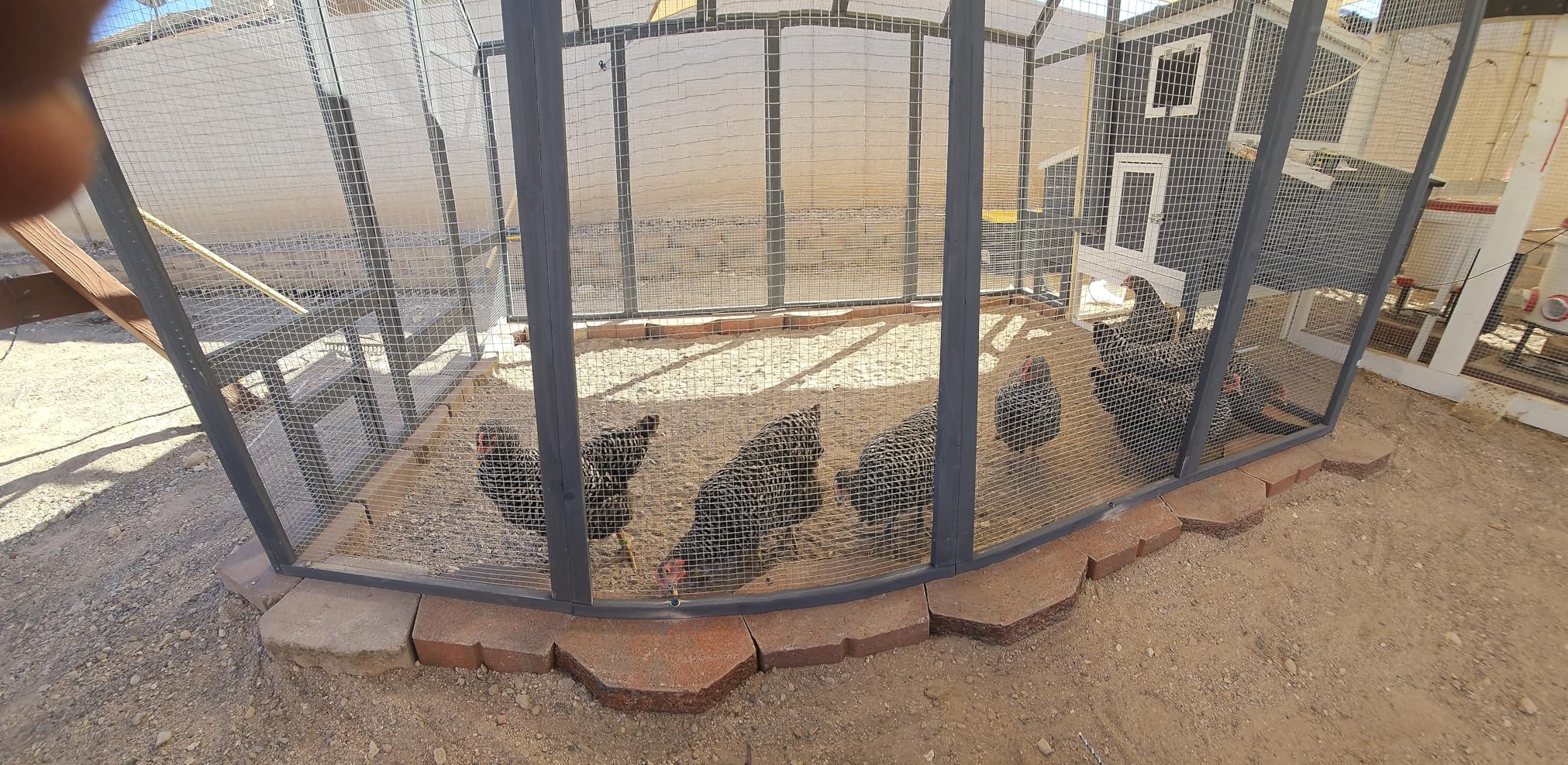 Chicken Coop for 10-12 Chickens, Large Wooden Chickens Run, Outdoor Walk in Poultry Cage Duck Runs for Yard with Cover & Chicken Vegetable Feeder, Chicken House for Outside Farm Backyard customer photo 2