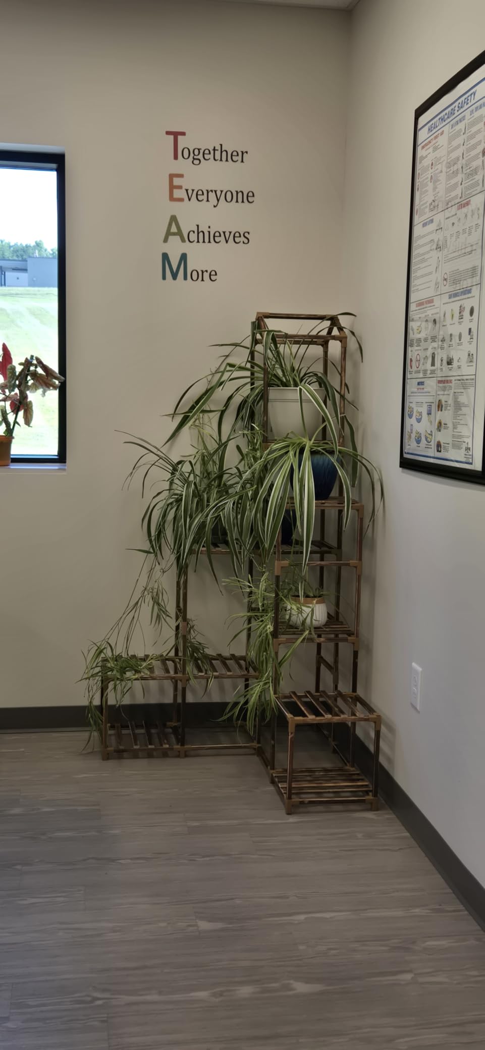 EnHomee Large Plant Stand, Tiered Wood Shelf for Indoor & Outdoor customer photo 2
