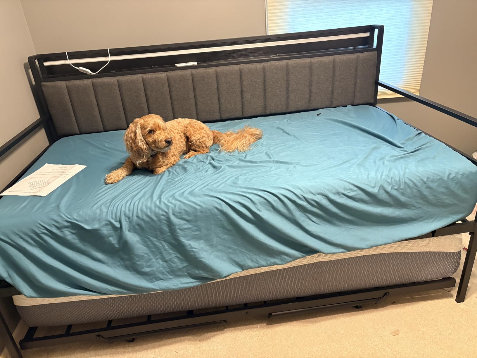 Daybed with Trundle and LED Light, Heavy Duty Metal Twin Bed Frame with Upholstered Storage Headboard & Charging Station, Day Bed Pop Up Trundle Bed Twin for Living Room, Bedroom and Guest Room, Black customer photo 2