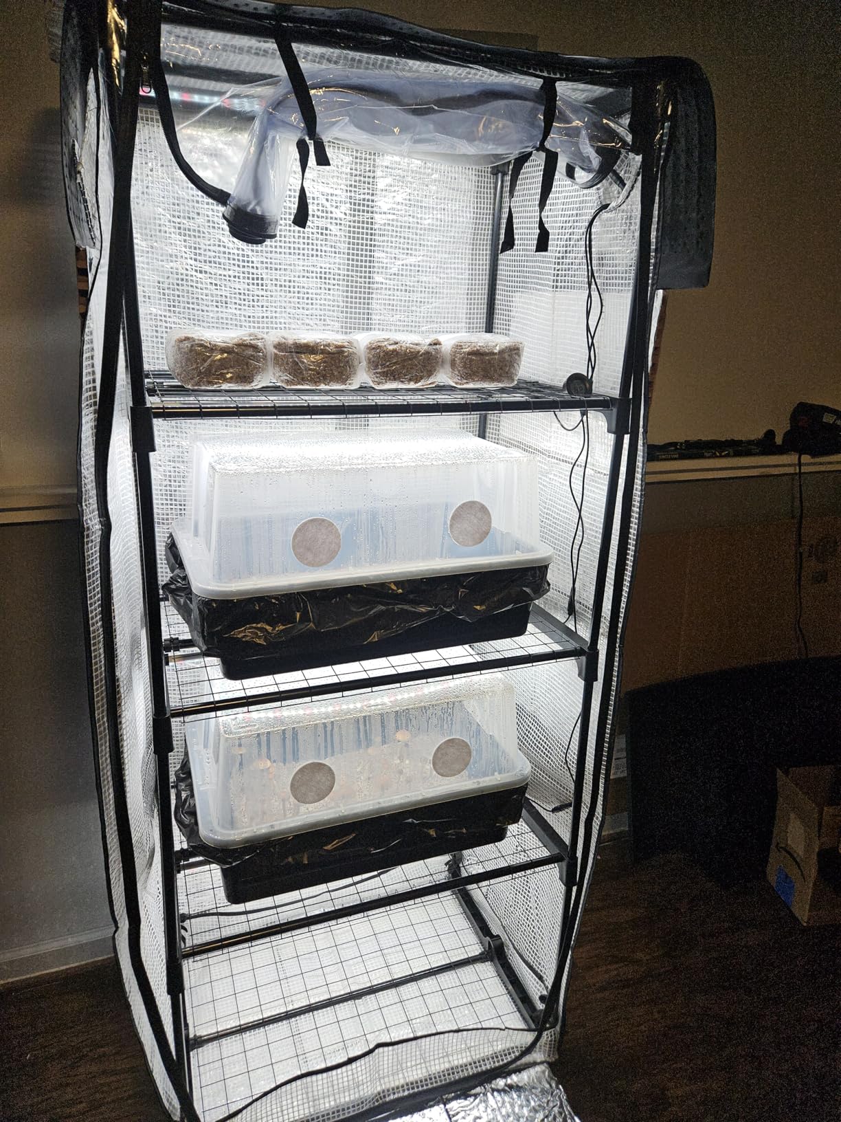 Mushroom Grow Tent with 6500K LED Light & Timer, 4-Tier Shelves | Fits Humidifier,Fits FAE, Waterproof Tray Included, 4 Vents, Fits Up to 8 Monotubs, Martha Tent customer photo 1