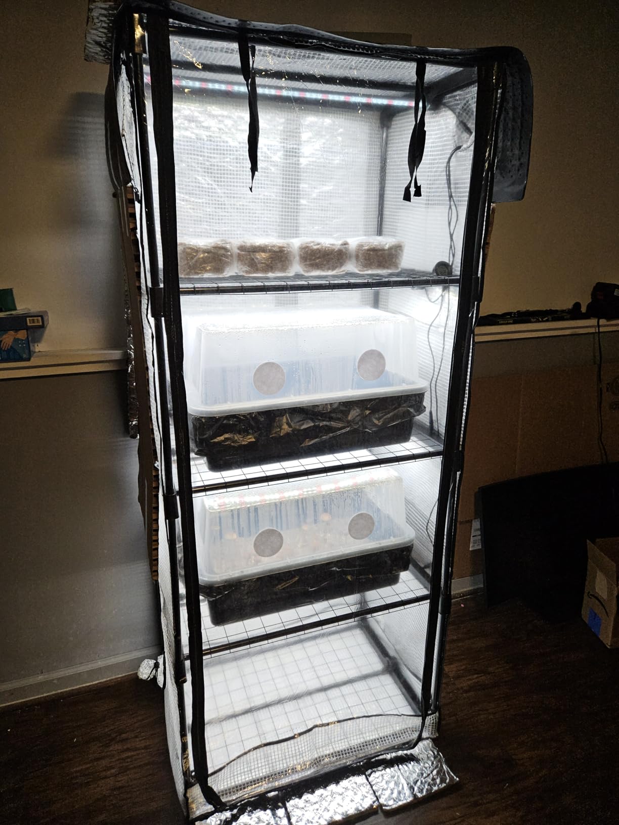 Mushroom Grow Tent with 6500K LED Light & Timer, 4-Tier Shelves | Fits Humidifier,Fits FAE, Waterproof Tray Included, 4 Vents, Fits Up to 8 Monotubs, Martha Tent customer photo 2